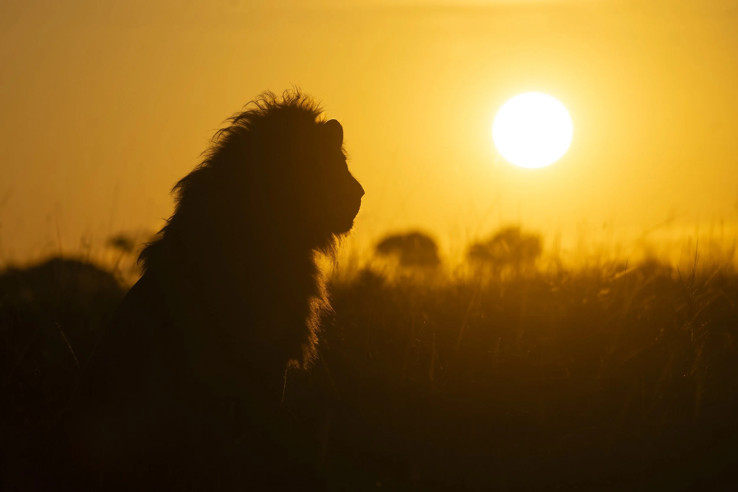 Photo- Roger Brendhagen-1-15-topaz.jpg