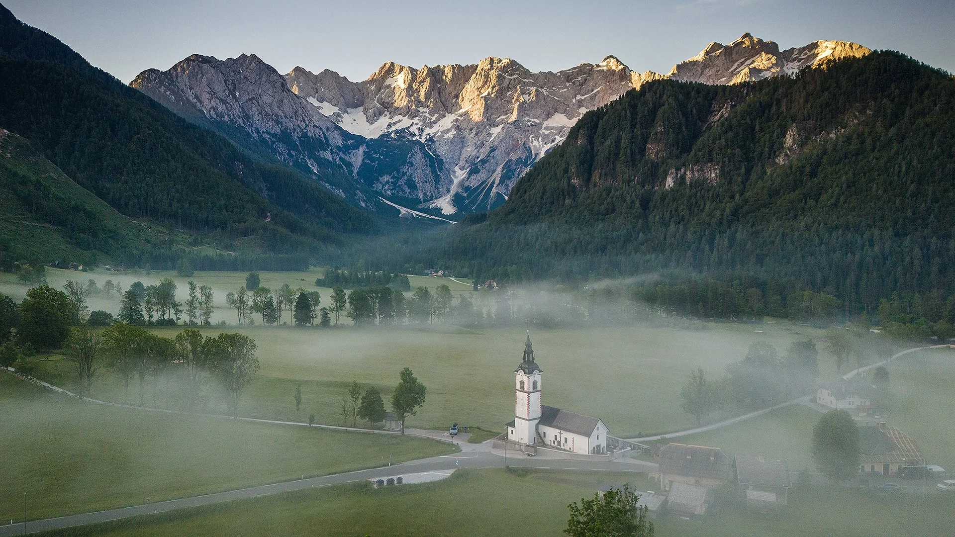 Slovenia_BearPhoto.jpg