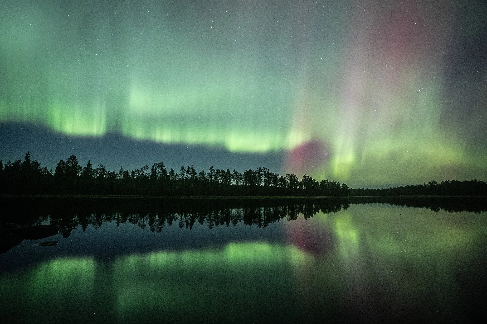 Aurora_WEB.jpg