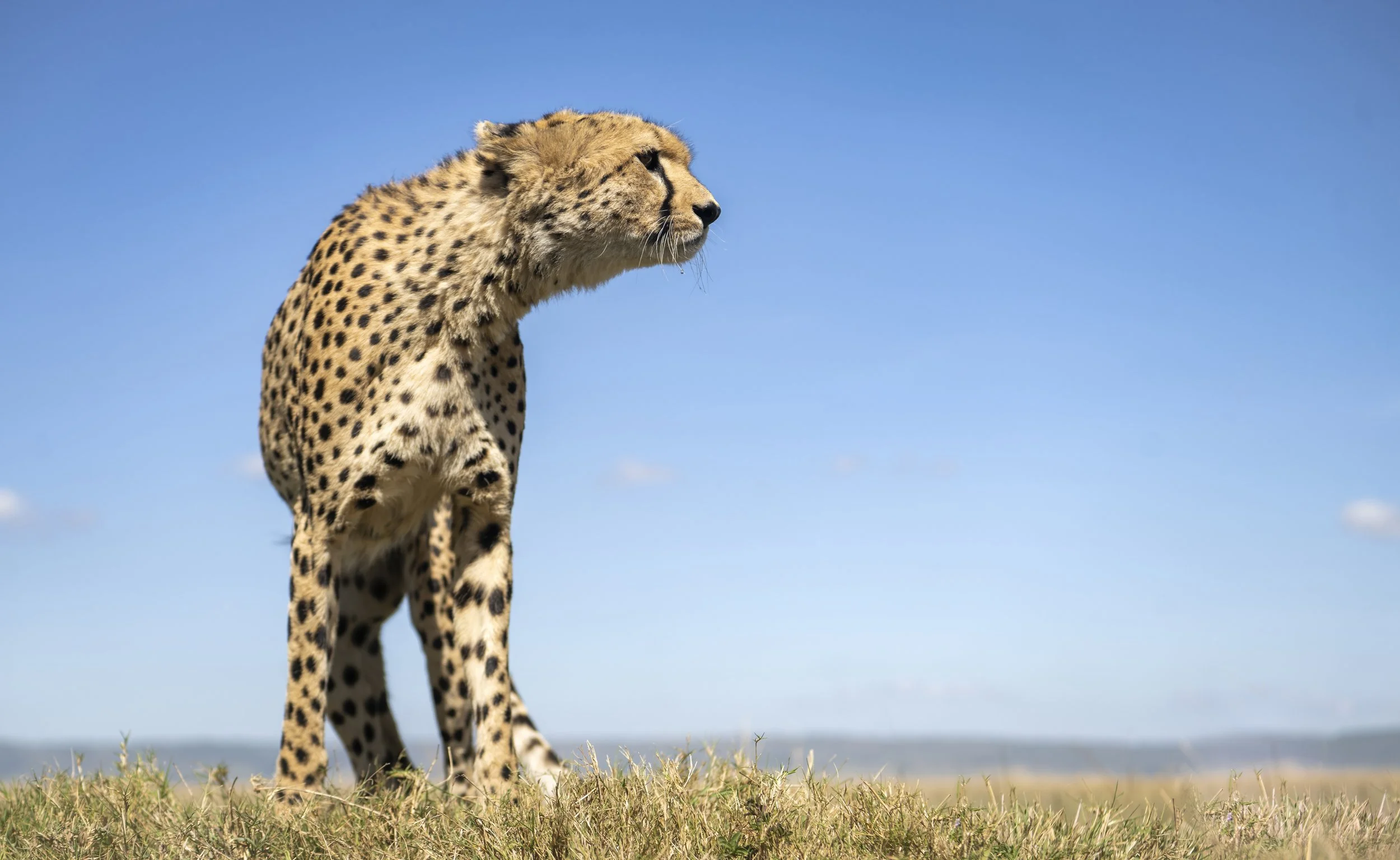 Photo- Roger Brendhagen-1-19-topaz.jpg