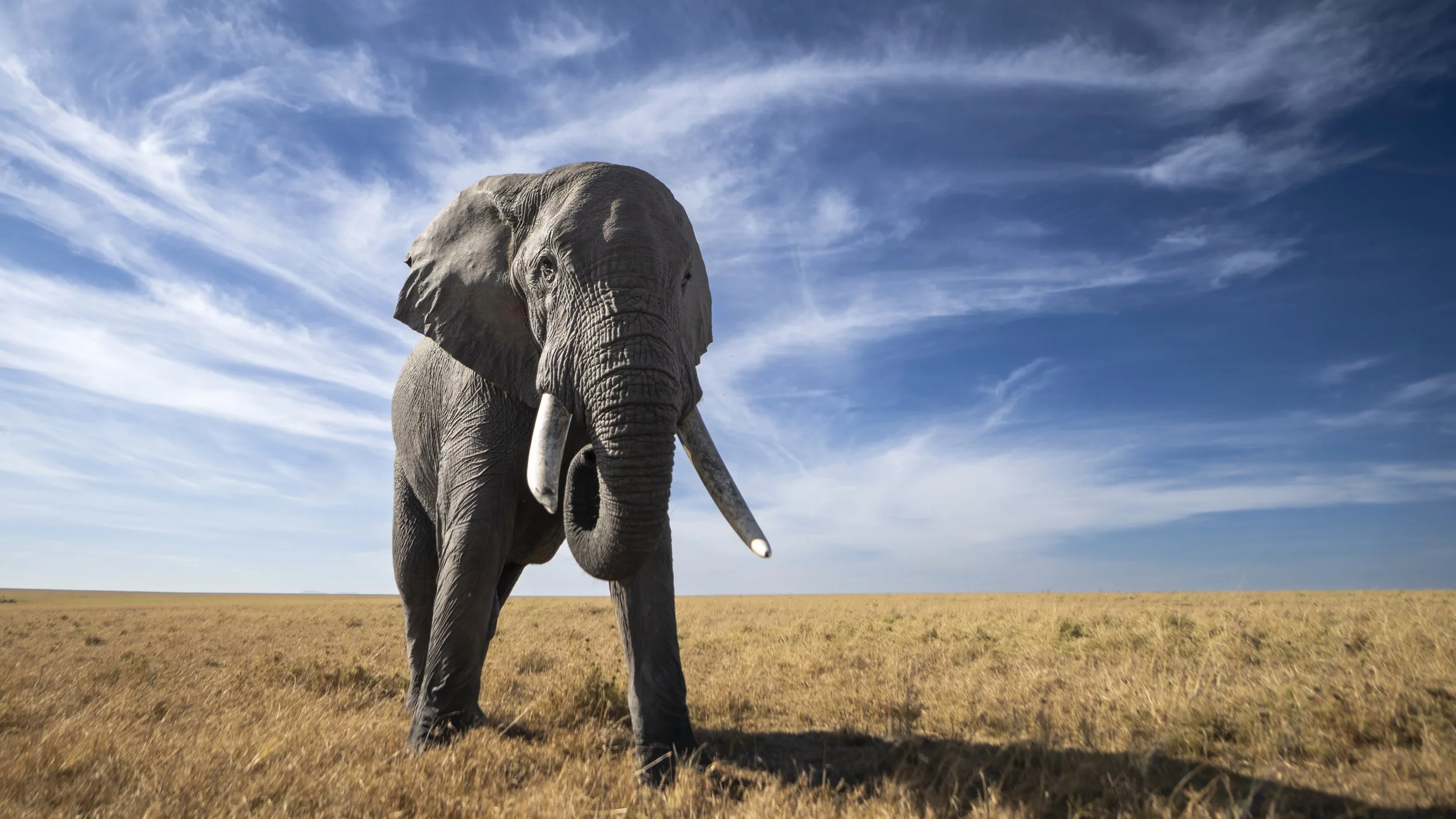 Photo- Roger Brendhagen-1-14-topaz.jpg