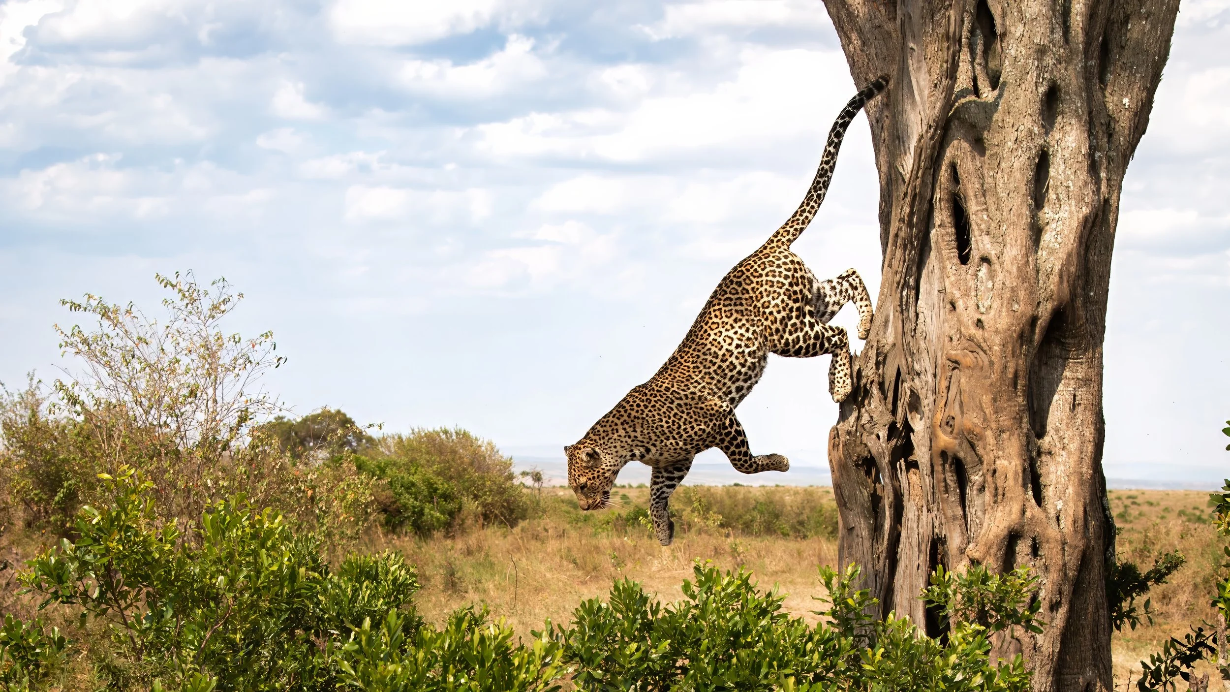 Photo- Roger Brendhagen-1-35-topaz.jpg