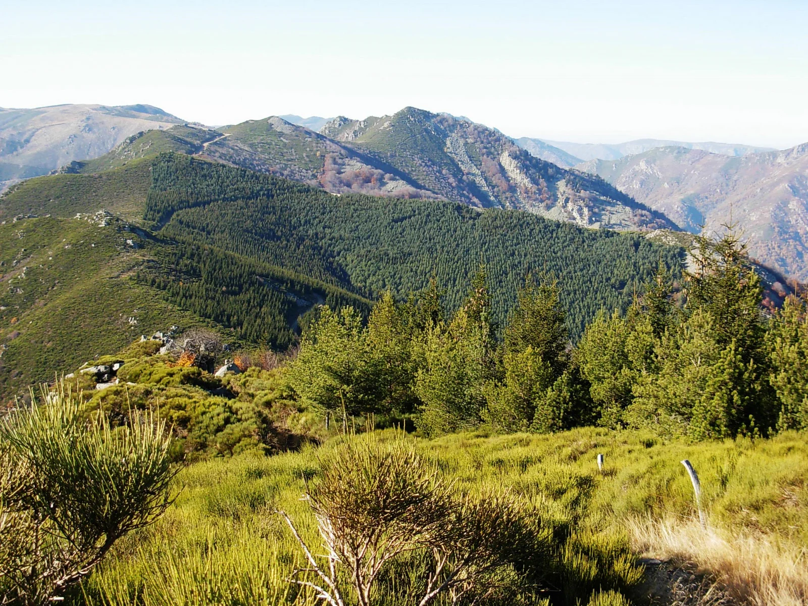  Parc des monts d'Ardèche  