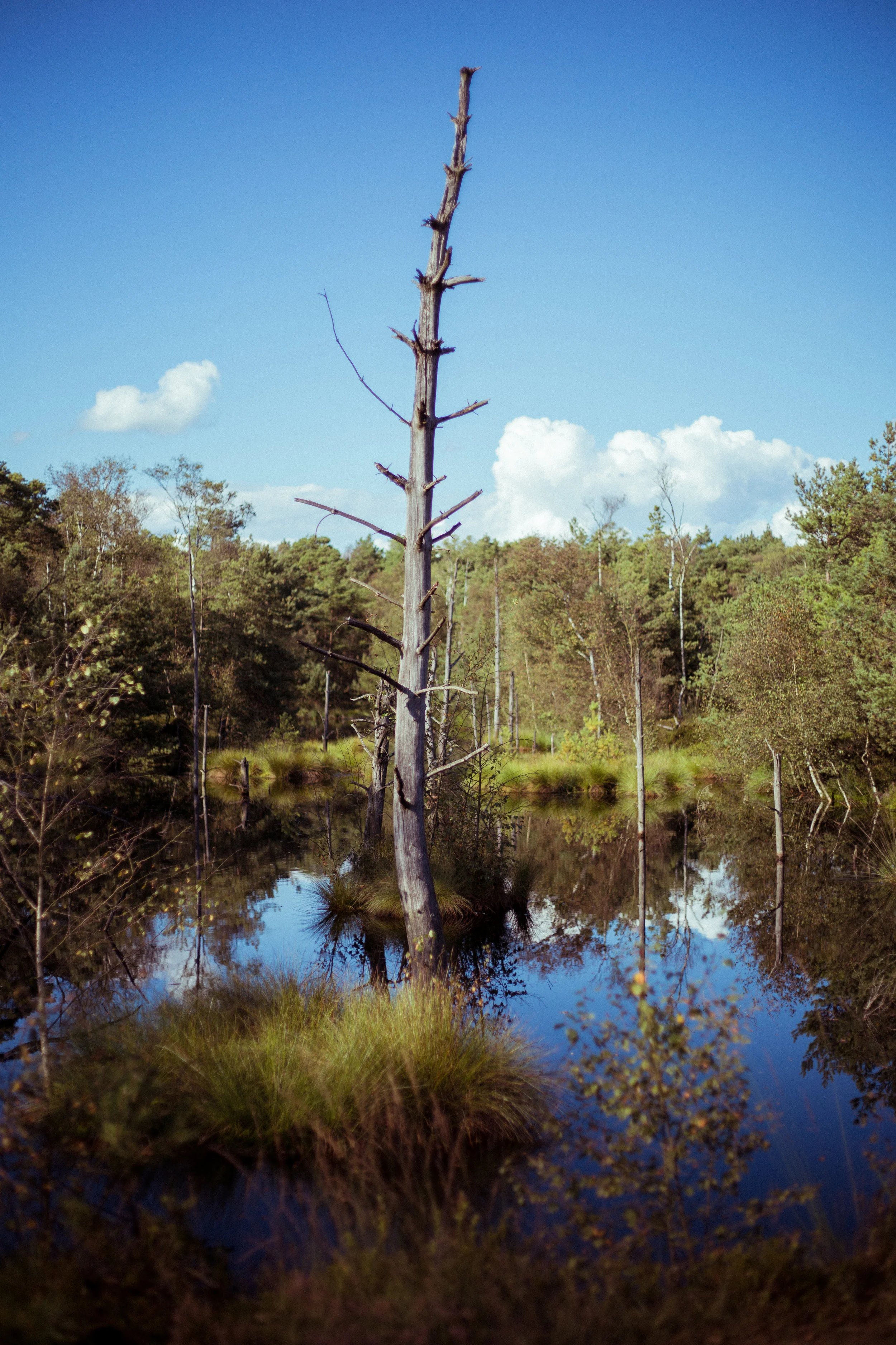 Pietzmoor-24.jpg