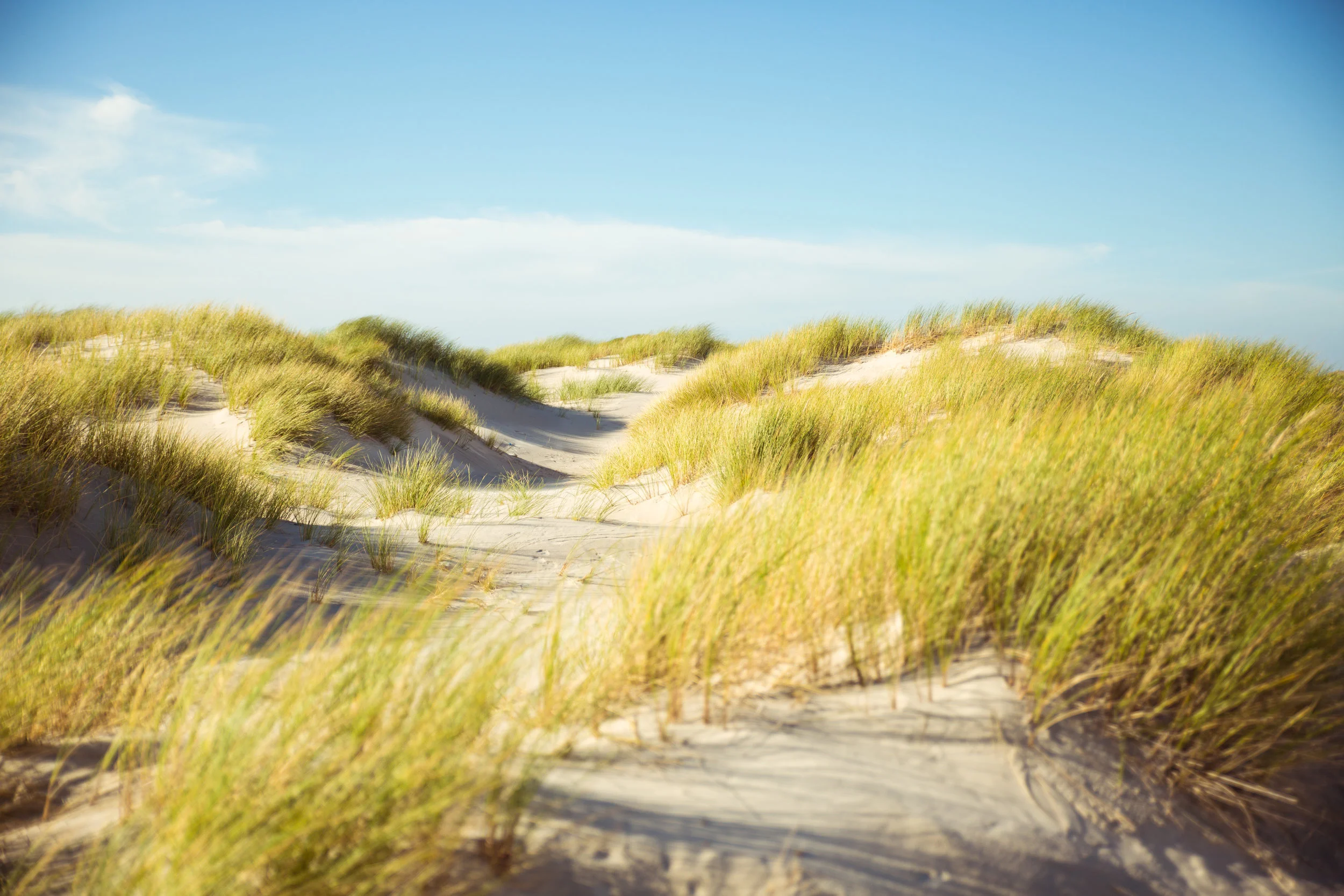 AMRUM2017-15.jpg