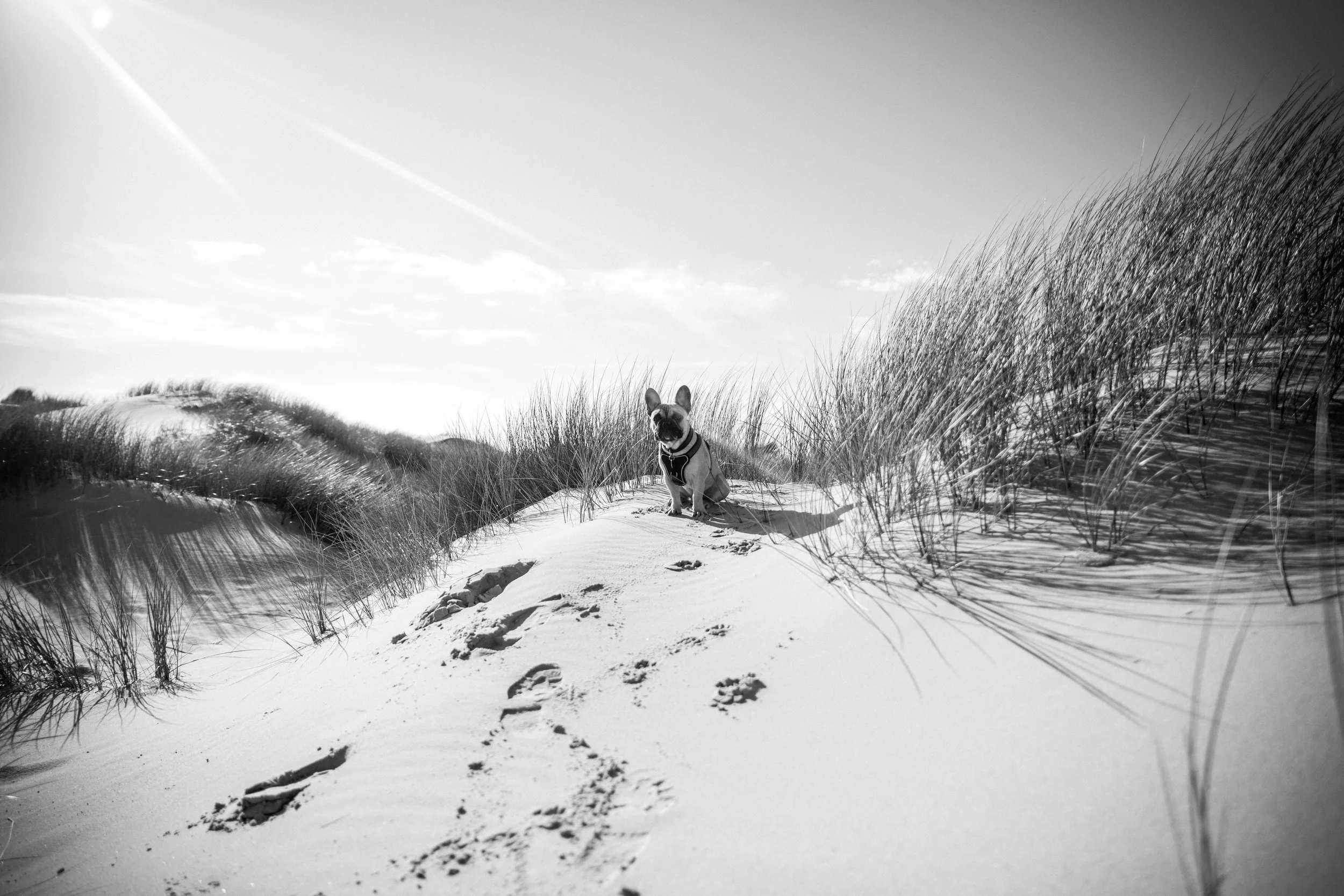 AMRUM2017-19.jpg