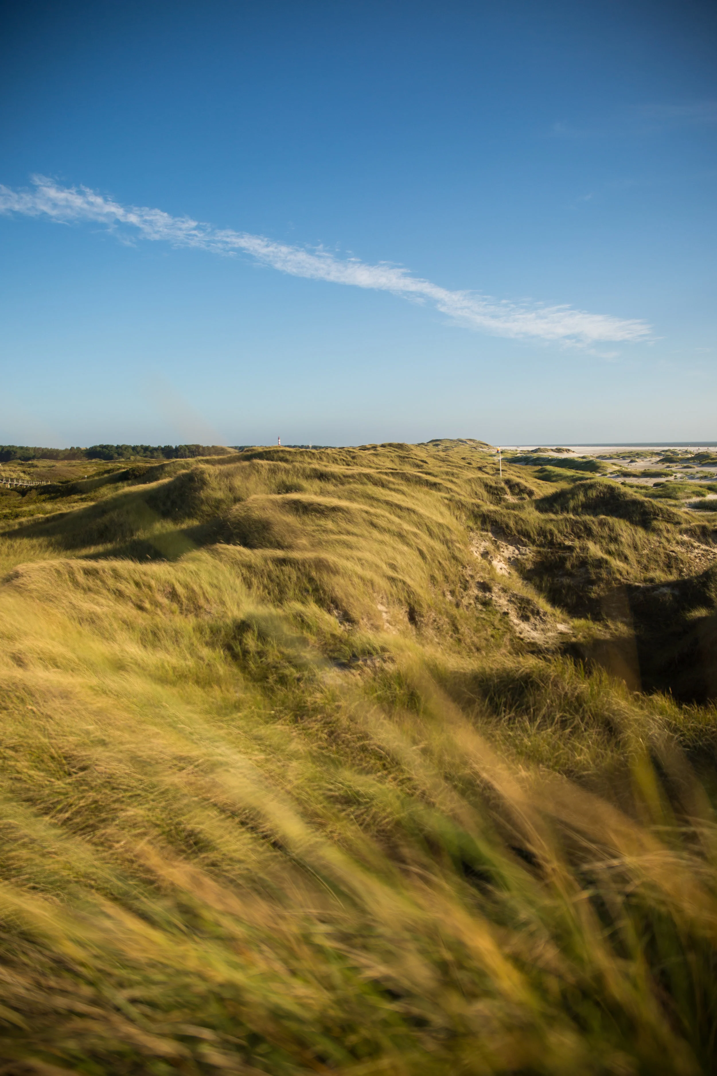 AMRUM2017-66.jpg
