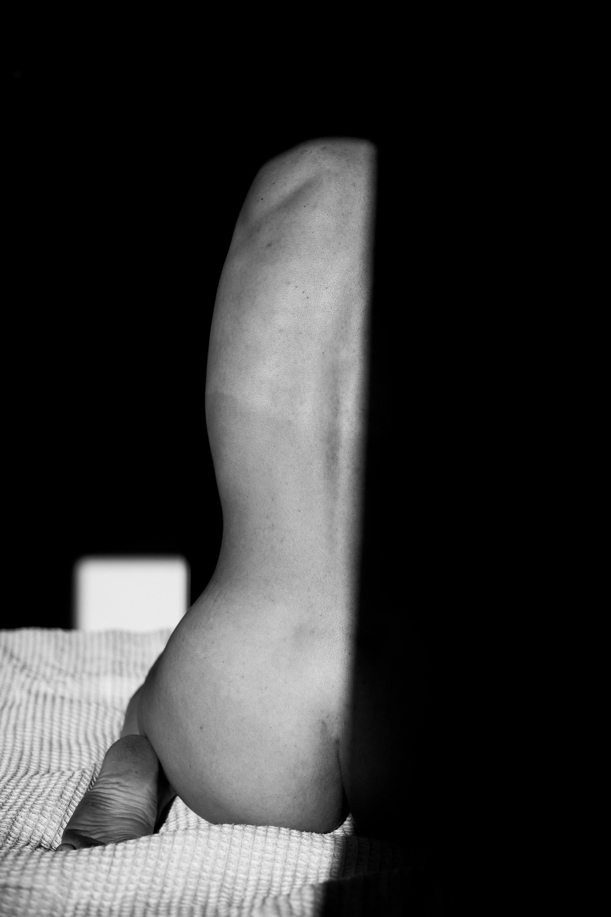 schatten-2.jpg