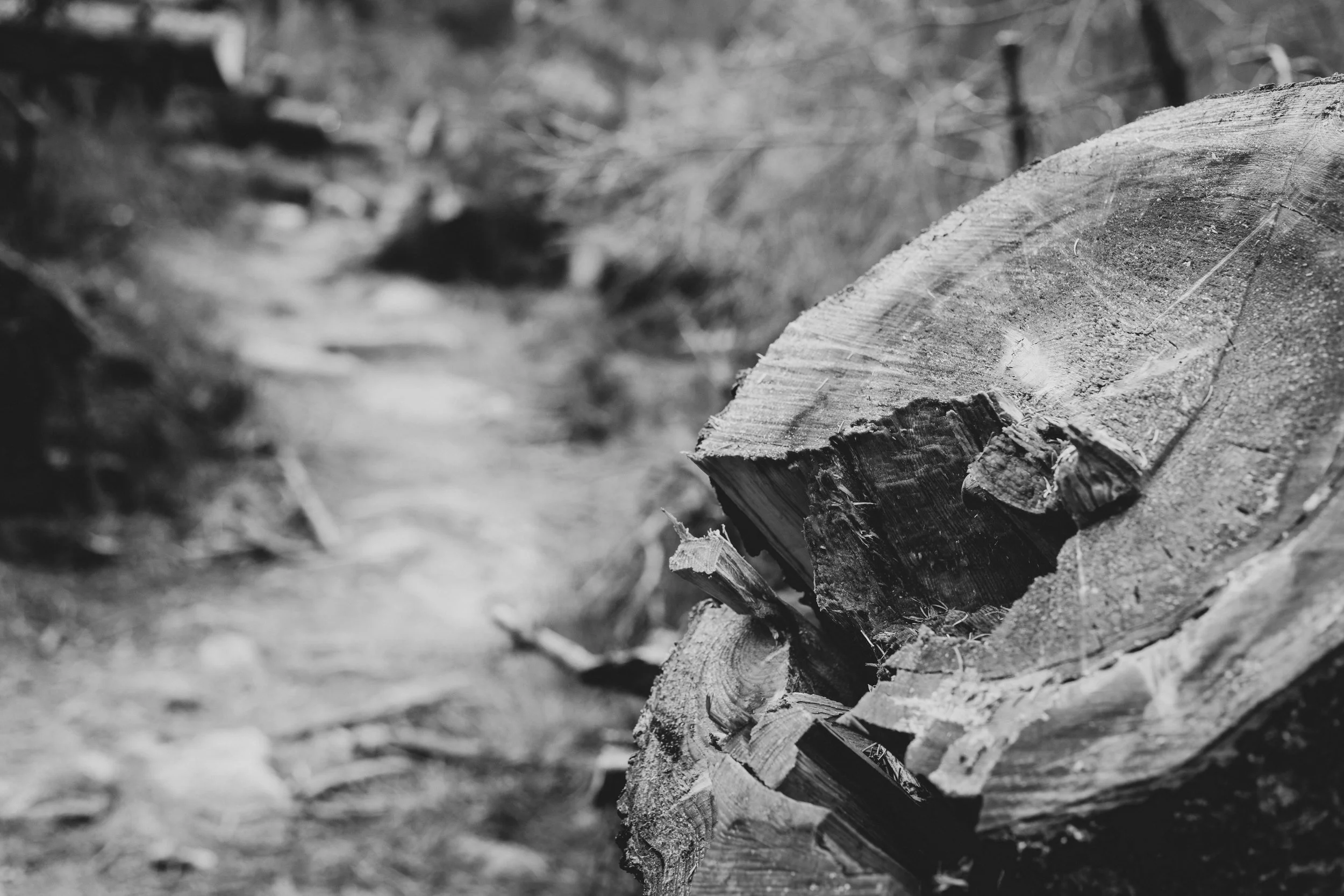 Harz'18-9.jpg