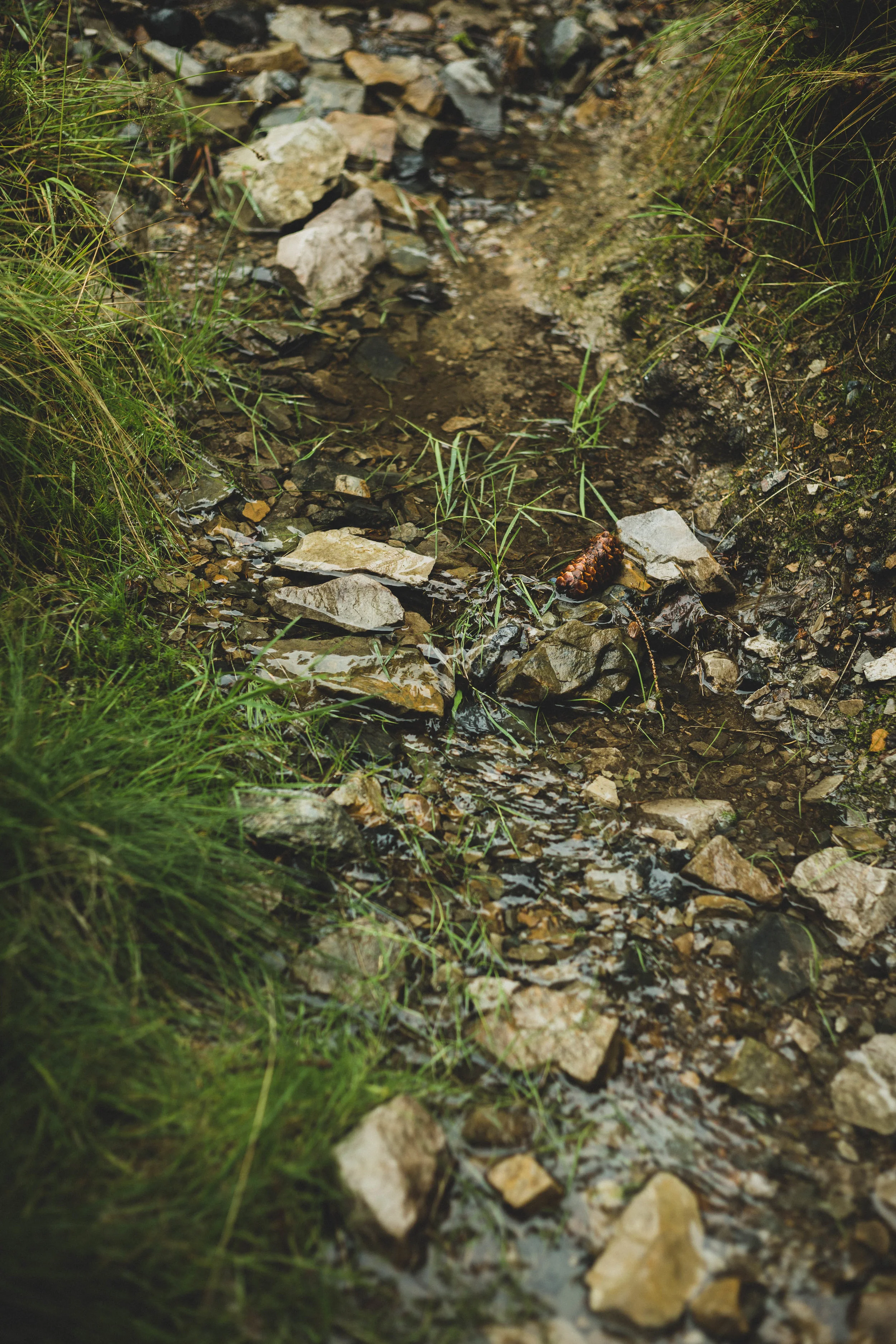 Harz'18-21.jpg