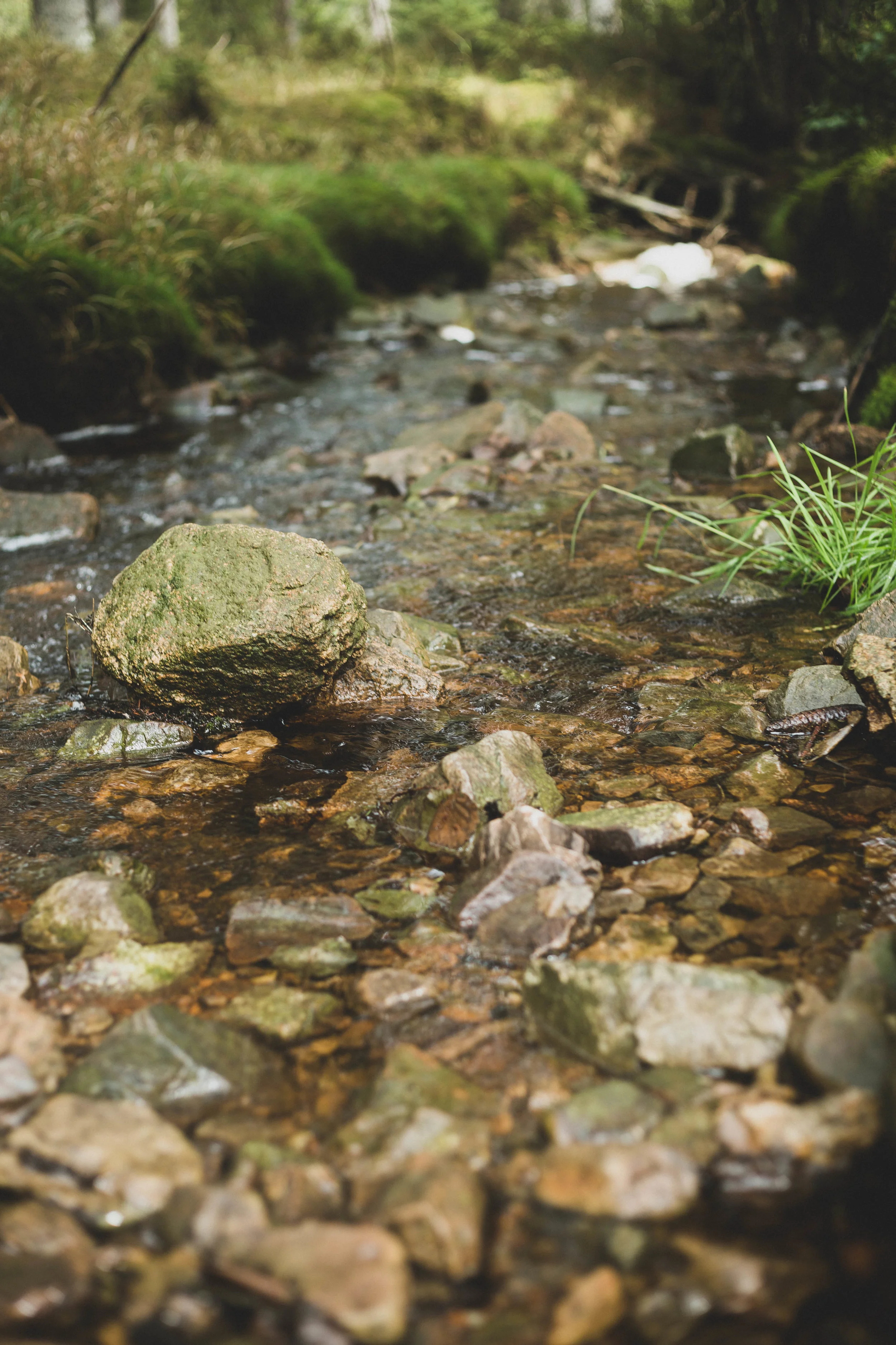 Harz'18-35.jpg