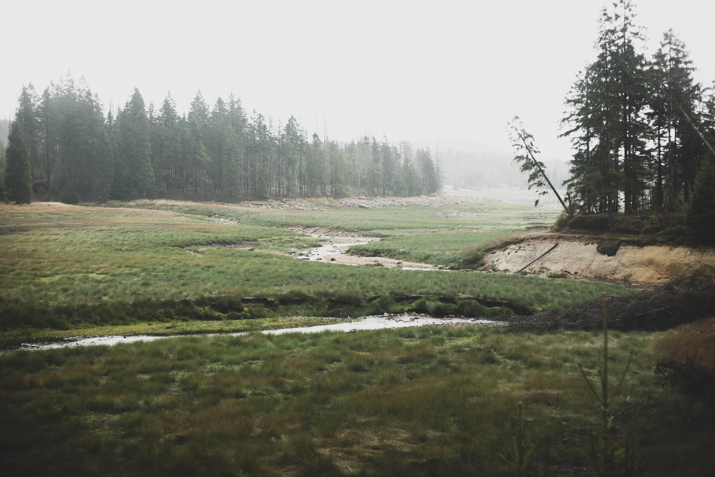 Harz'18-37.jpg