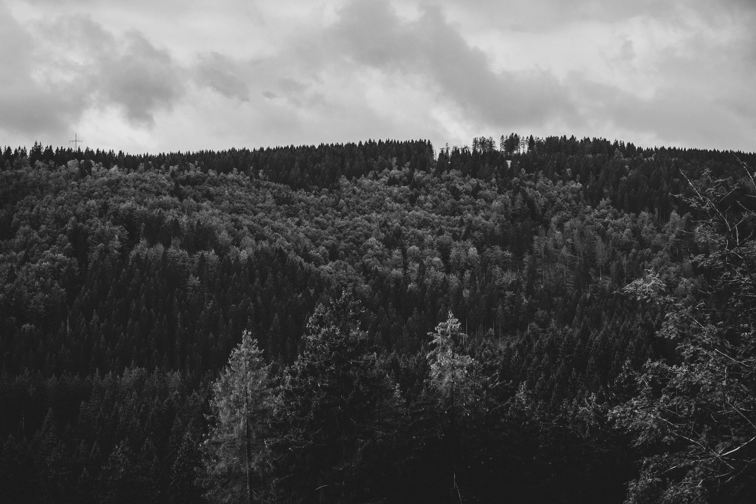 Harz'18-47.jpg