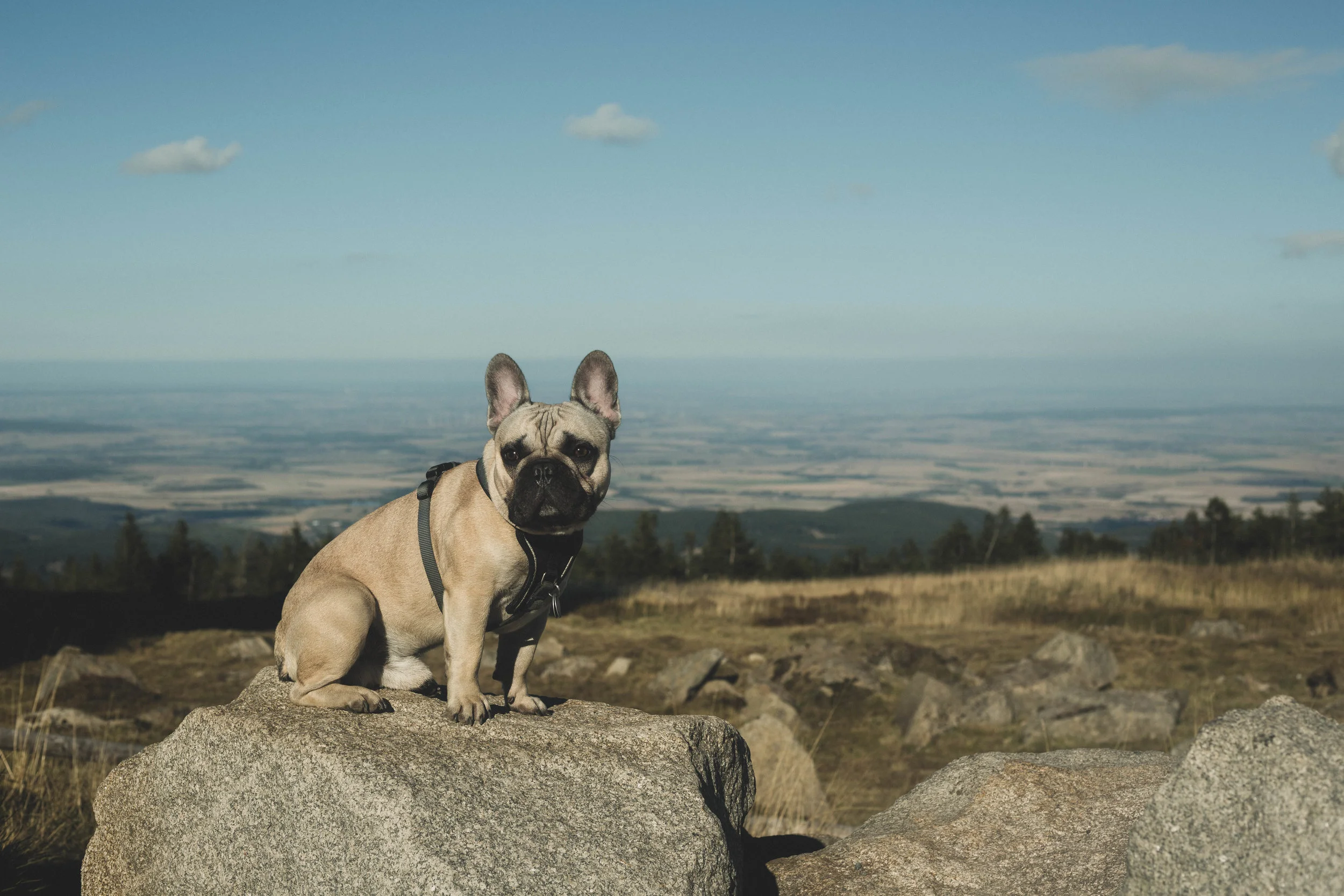Harz'18-64.jpg