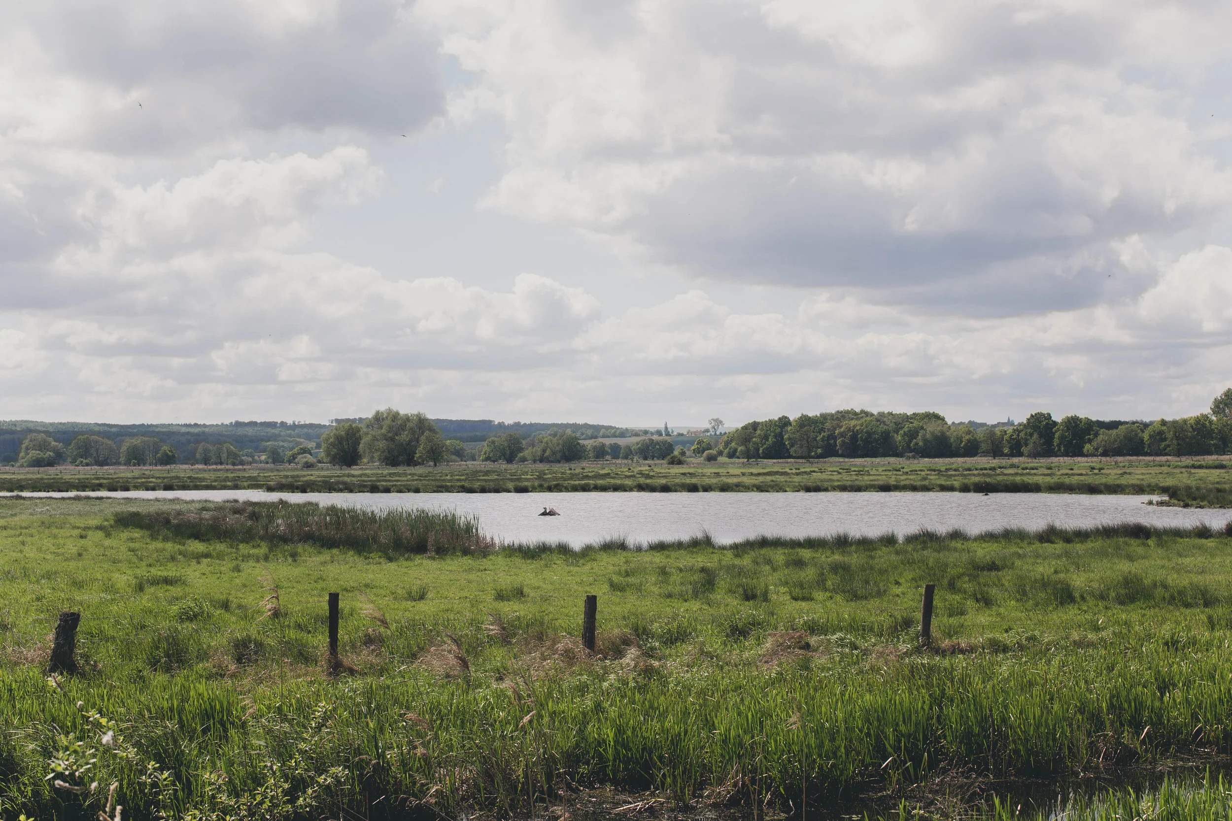 Roadtrip-4.jpg