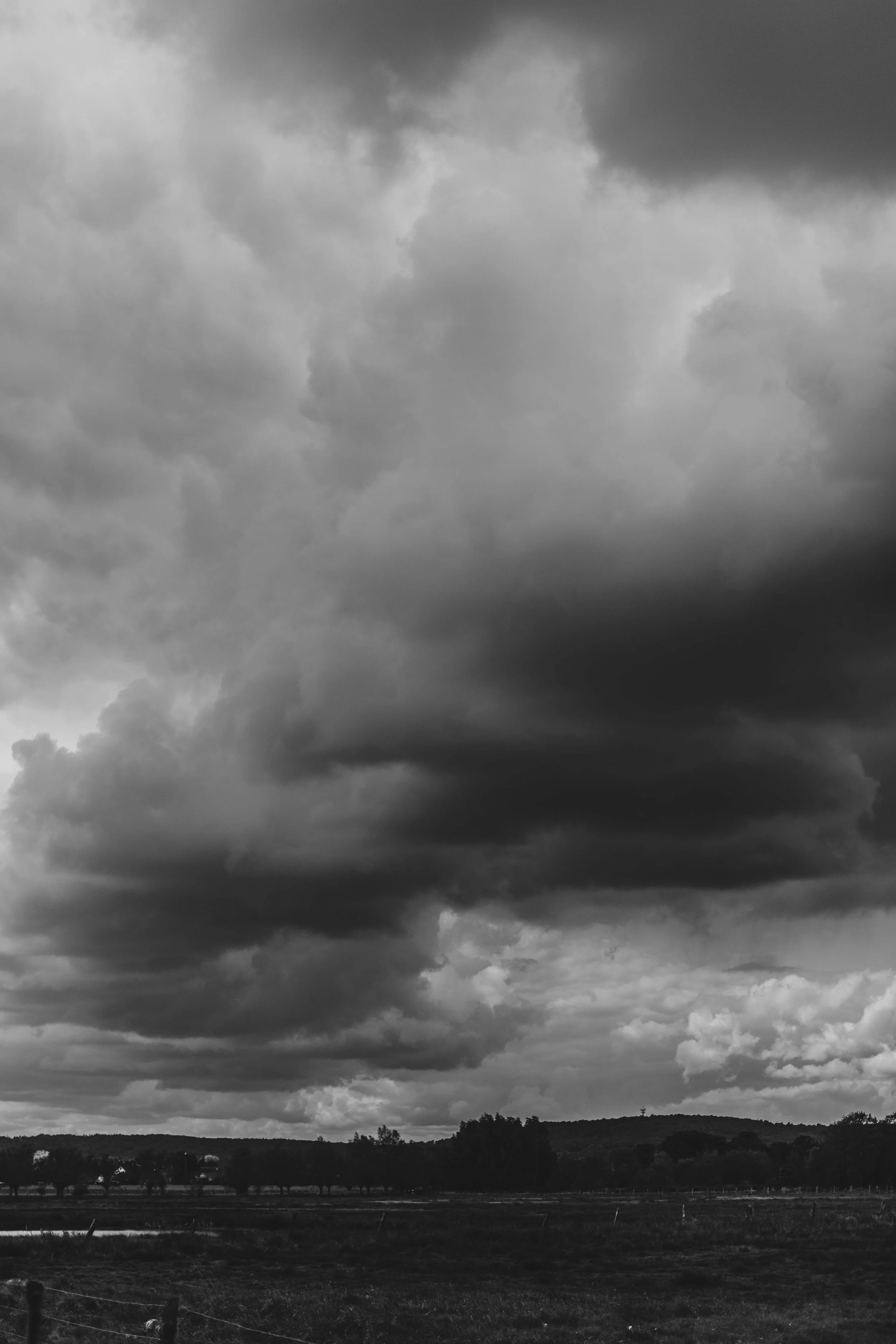 Roadtrip-14.jpg