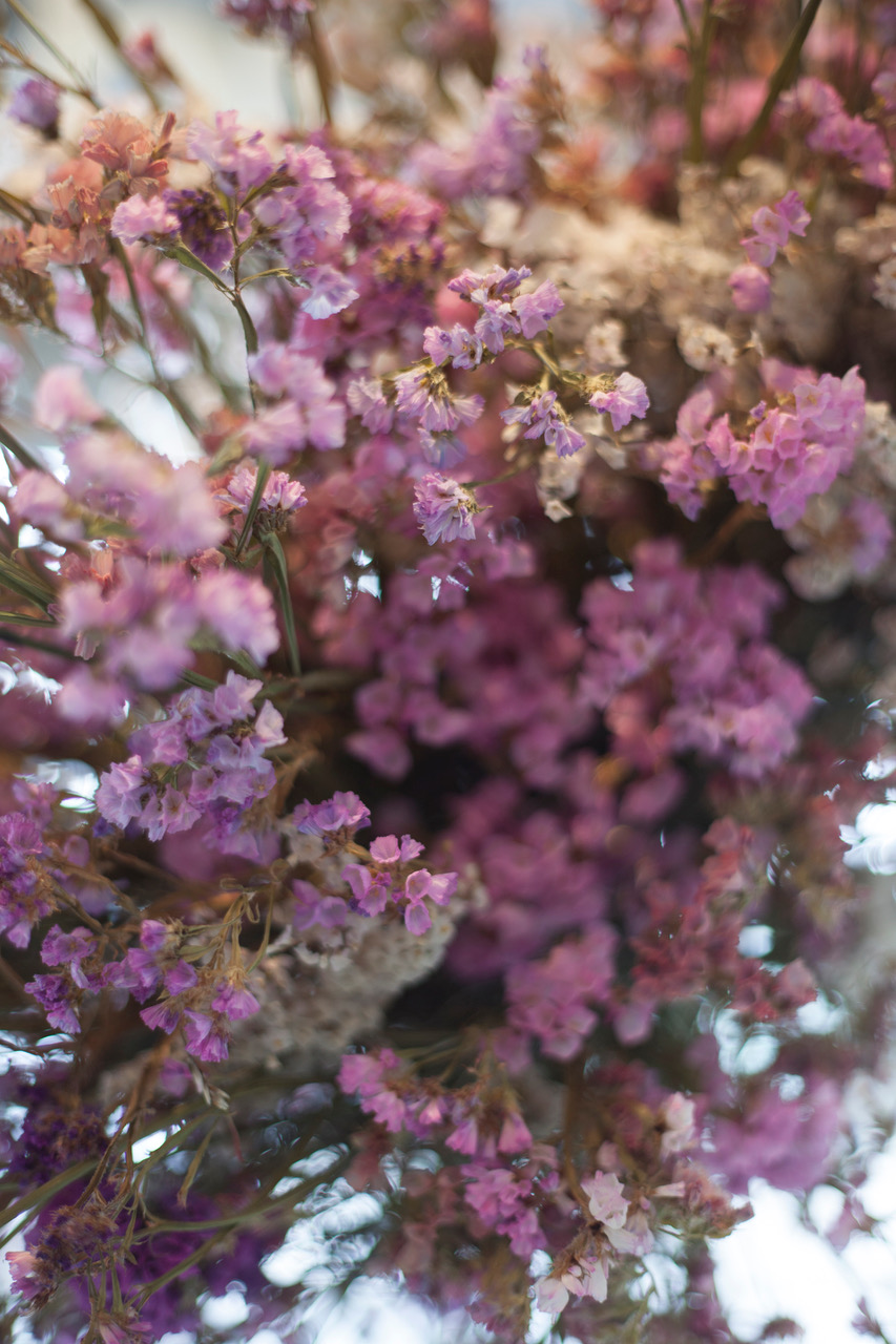 Every Day Needs: Spring Installation