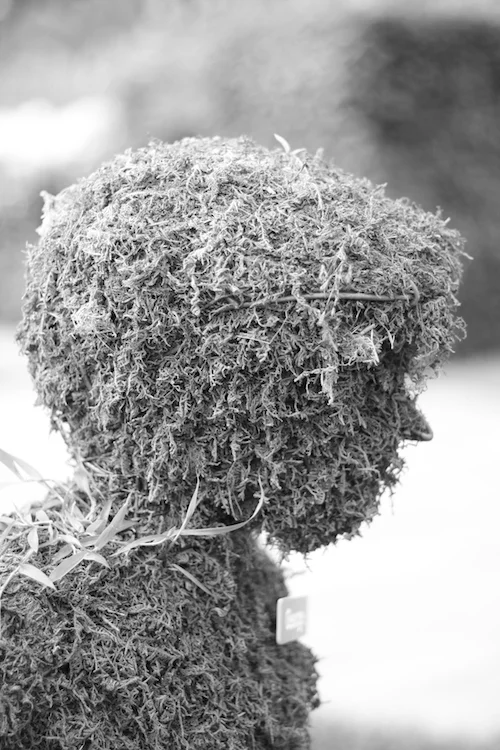 Topiary by Kate Price