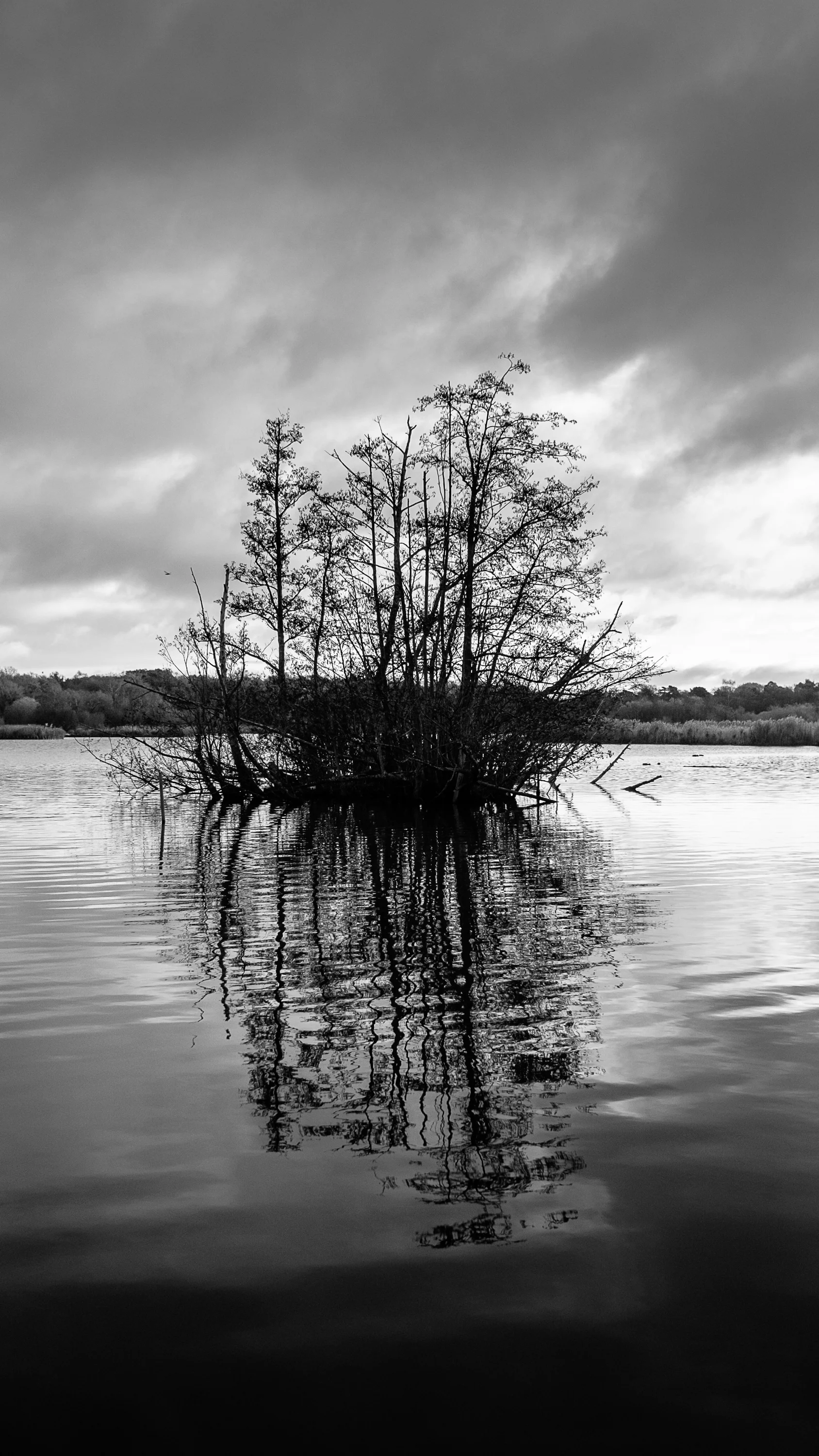 Fleet Pond, Hampshire, UK