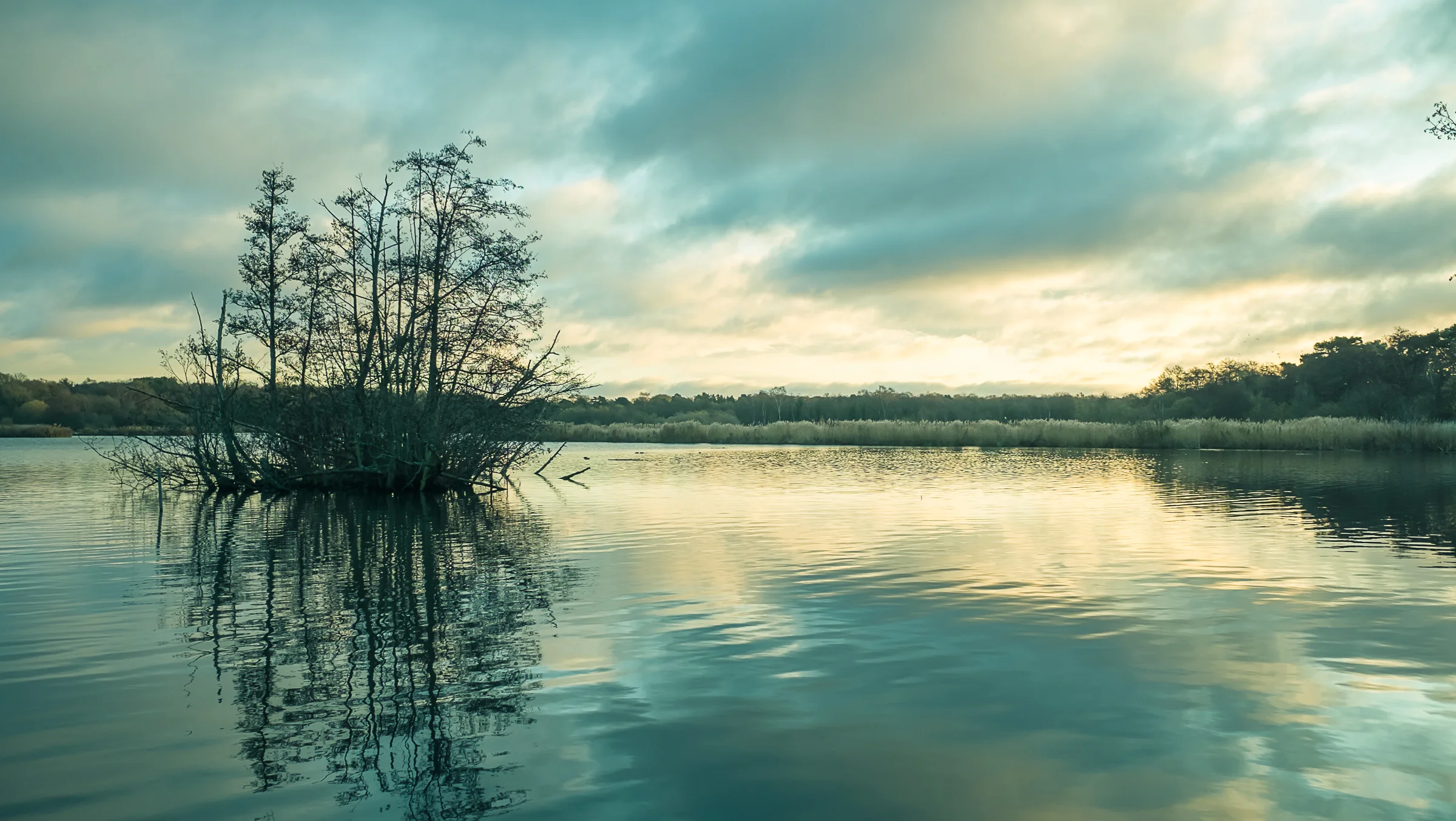 Fleet Pond, Hampshire, UK
