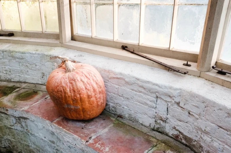Fuji XT-1, Muted Colour Settings
