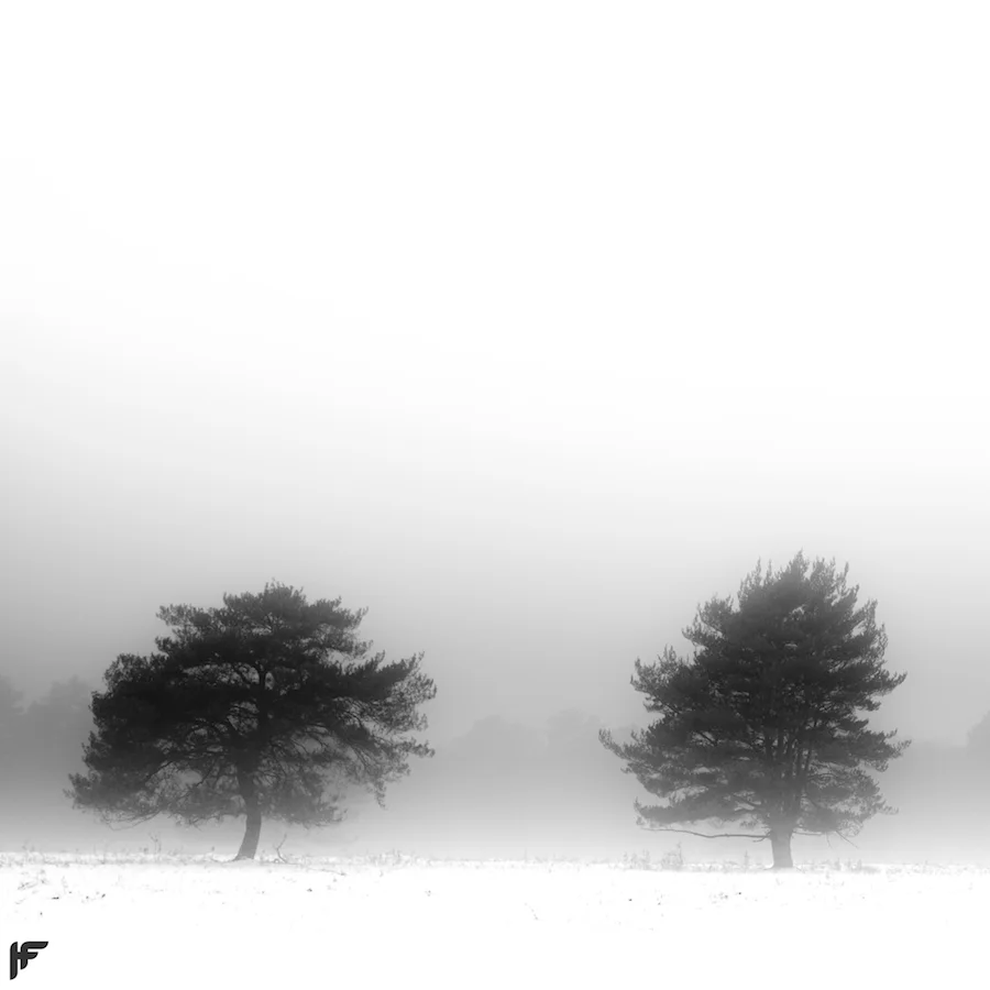 Snowy Trees - Fuji X70