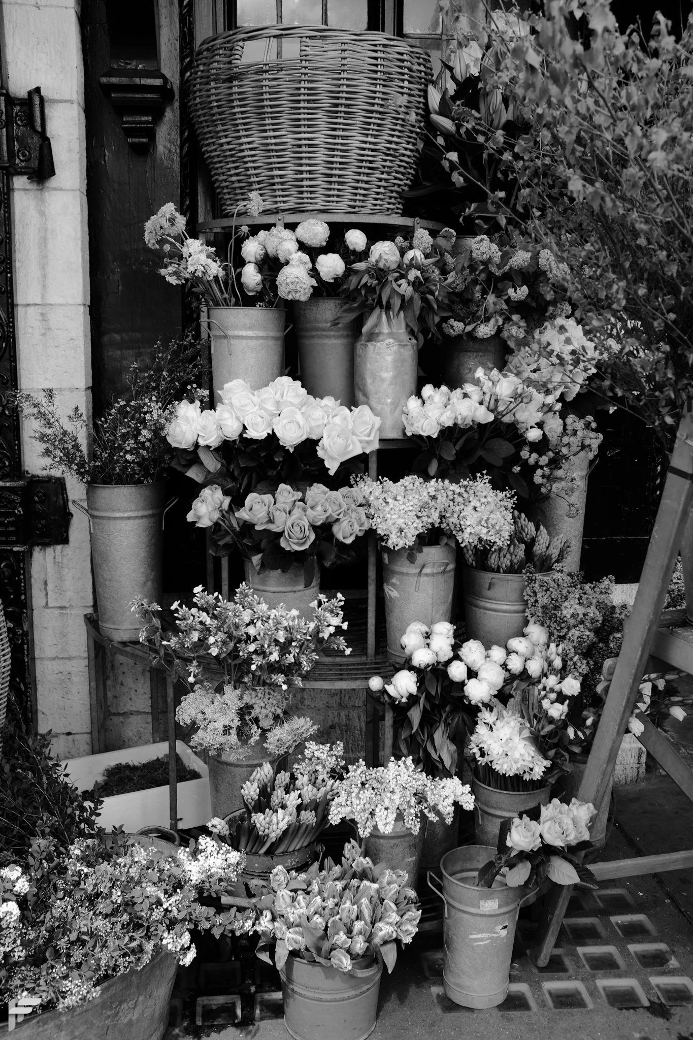 Orange - Marlborough Street