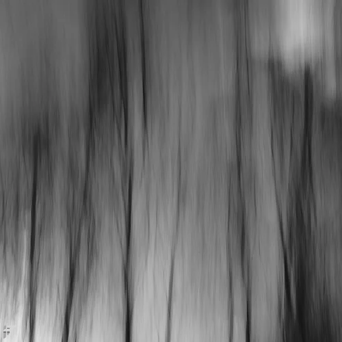 Abstract Trees - Fuji X100F
