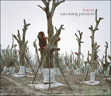 book_yanwp_forest_390pxl.jpg