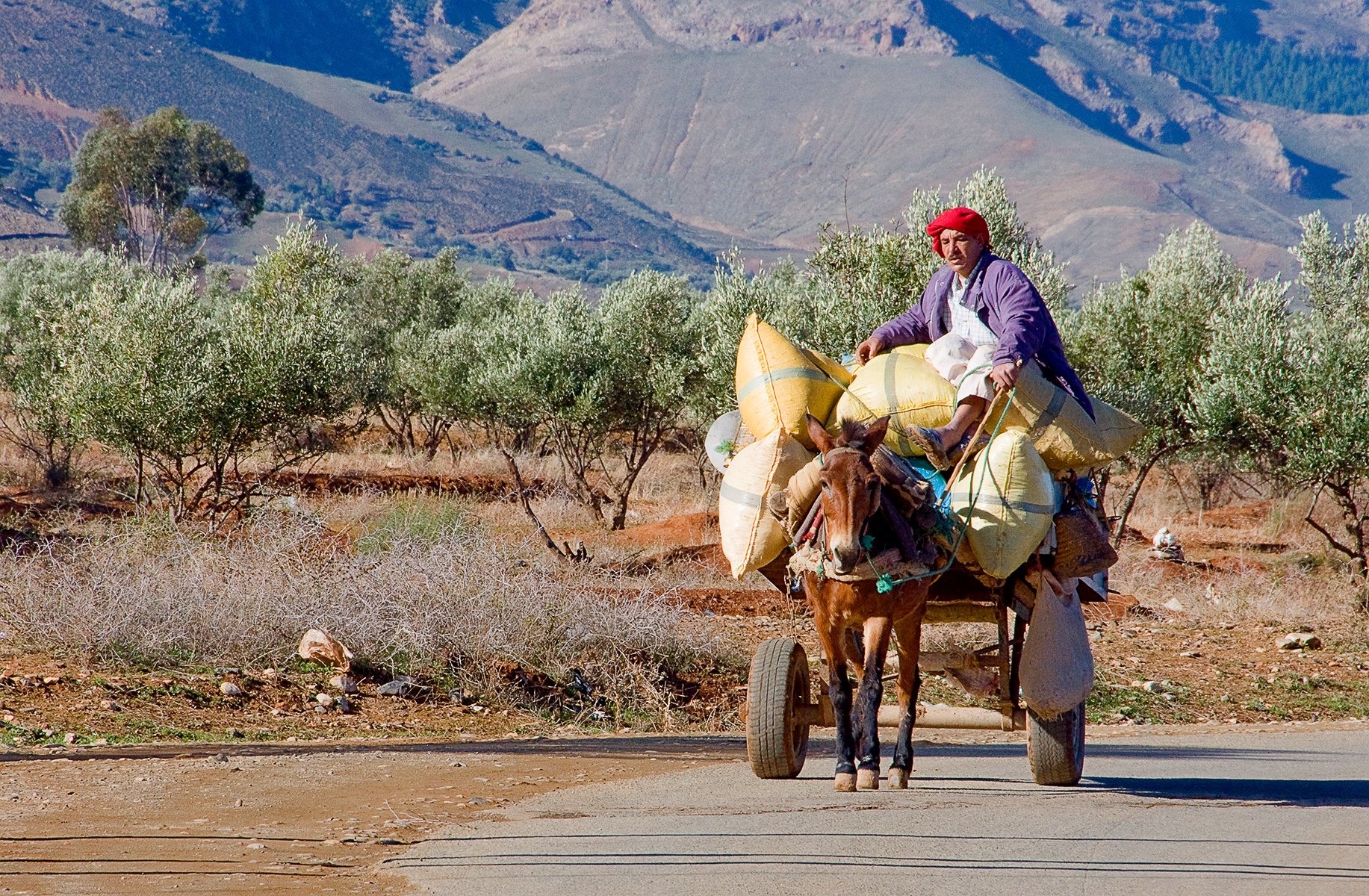 H516_Richard Bown_2526_Eddie Stobart of the Atlas Mountains_First.jpg