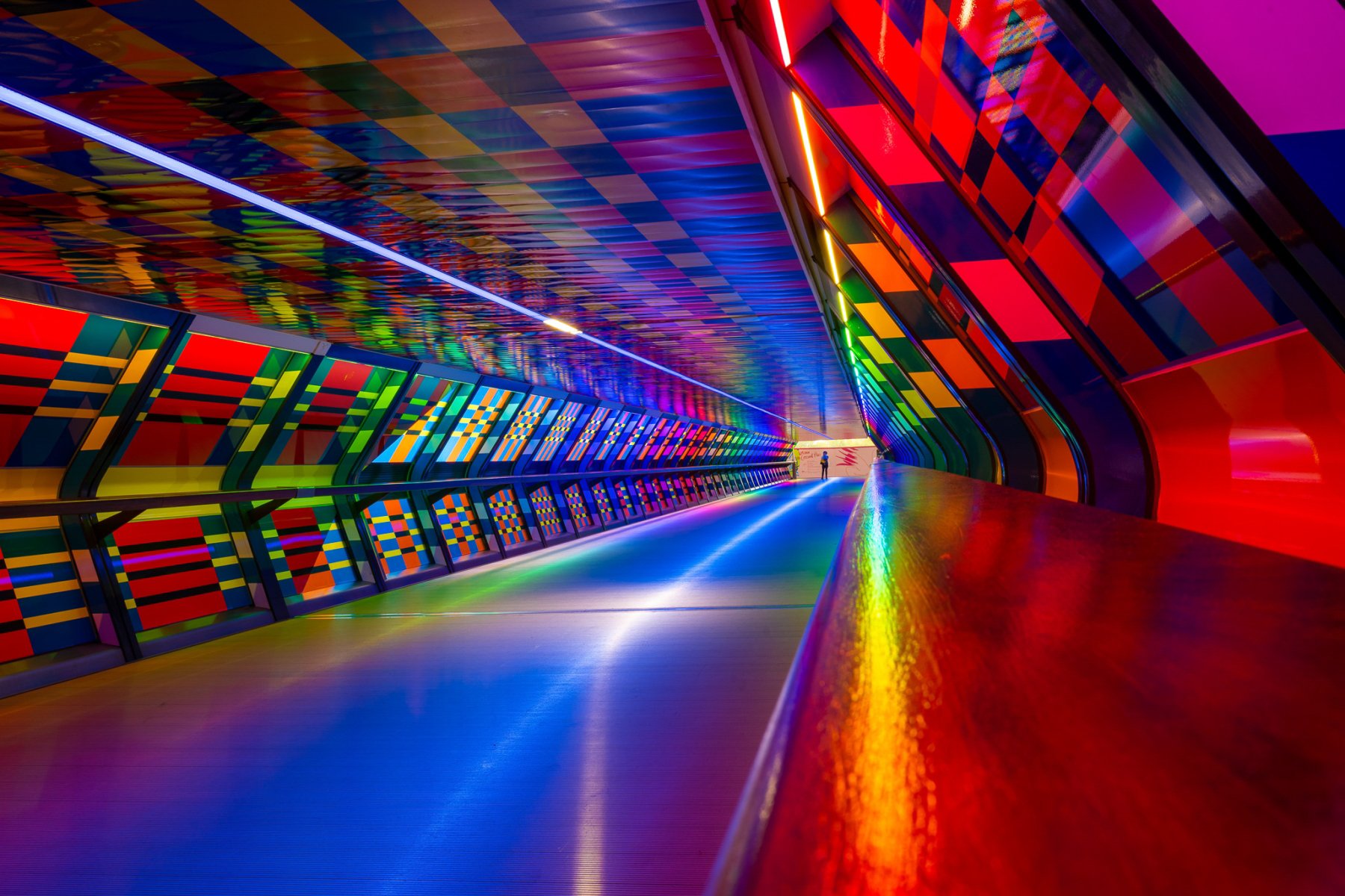 H529_Alistair How_6269_The Tunnel of Colour_First.jpg