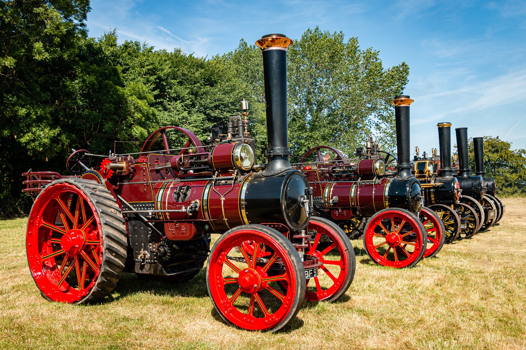 H854_Robert Steemson_4860_Traction Engine Line Up at Masham_First.jpg