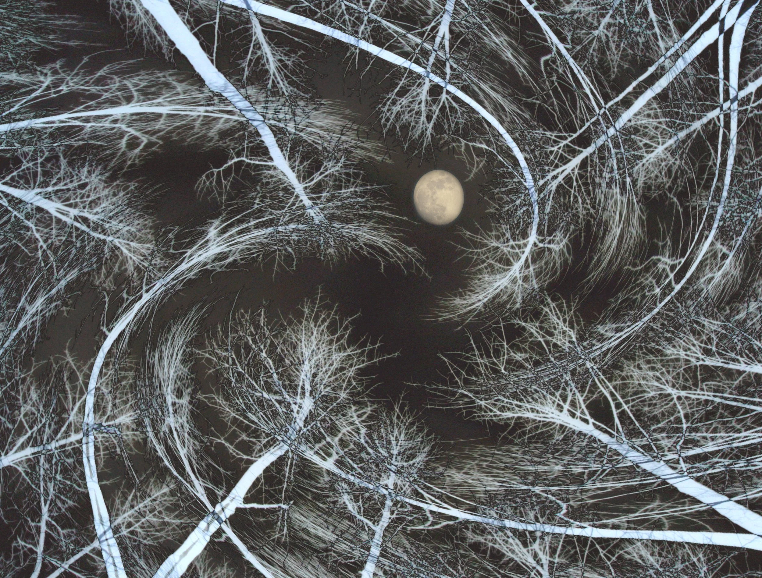 457743d0-c074-4455-bcba-964342f67159-original.jpg