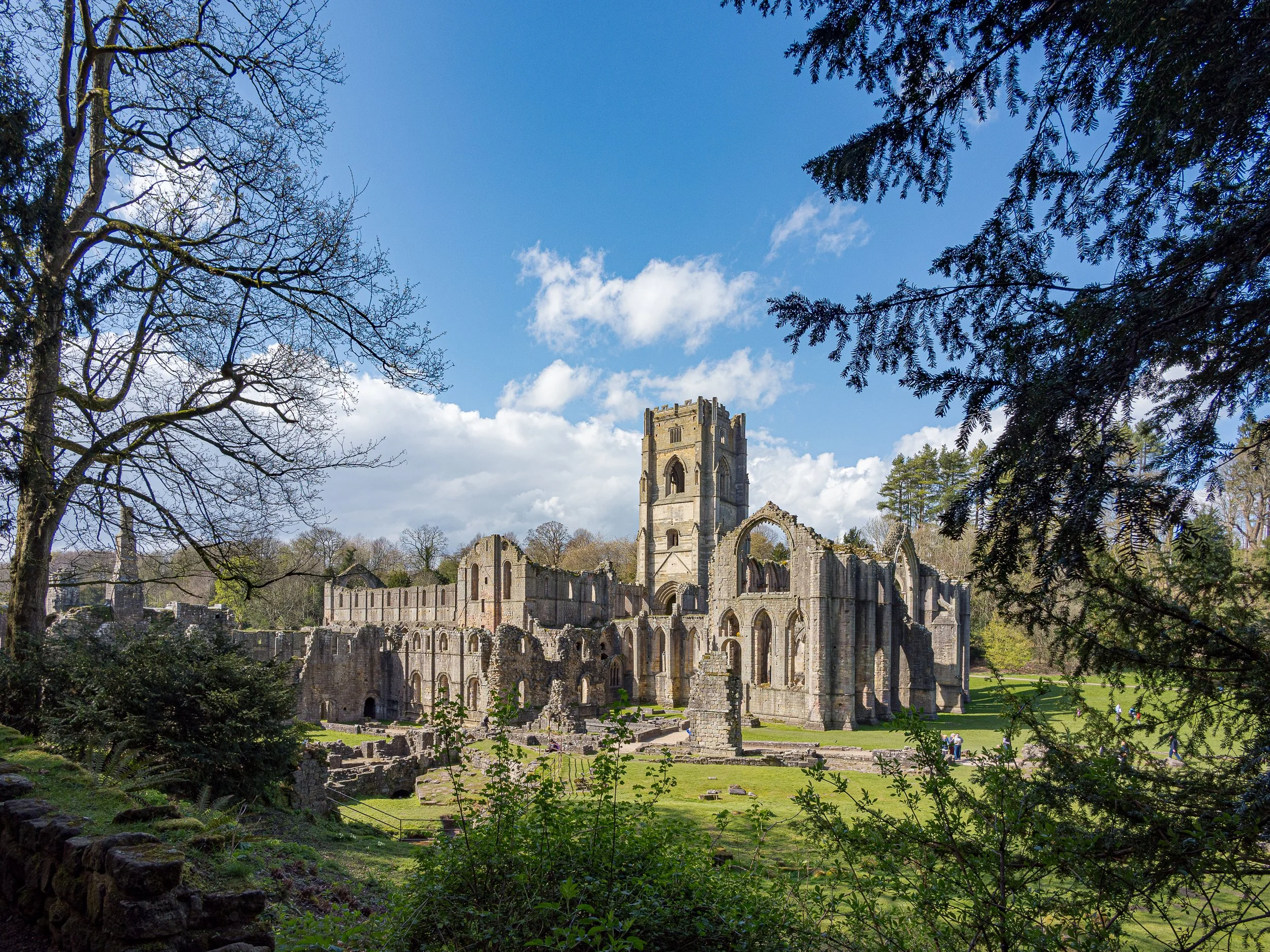 Brian Atter - A monastic spring day - OM System OM-1 MK II, Leica 9mm f/1.7, 1/640s,, F/5.6, ISO 200
Fountains Abbey, 13 Apr 2026