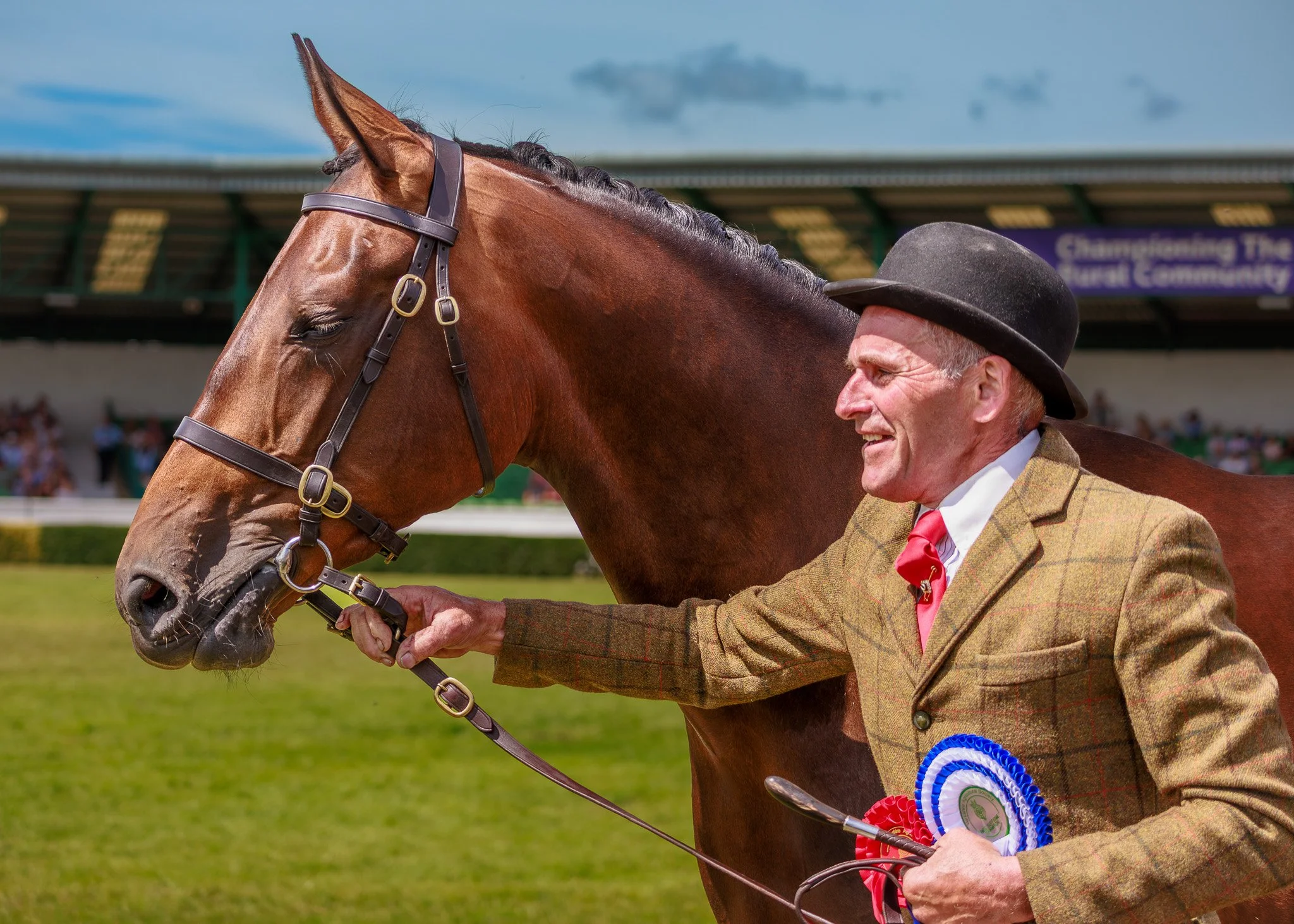 Steve Preston - Proud rosette winners, Great Yorkshire Show - Great Yorkshire Show July 2025, photograph grabbed as he led his horse around the arena, unmissable because of his obvious joy. Canon EOS R6, Mk2, RF100-400mm, at 100mm, f5.6, 1/1250, ISO