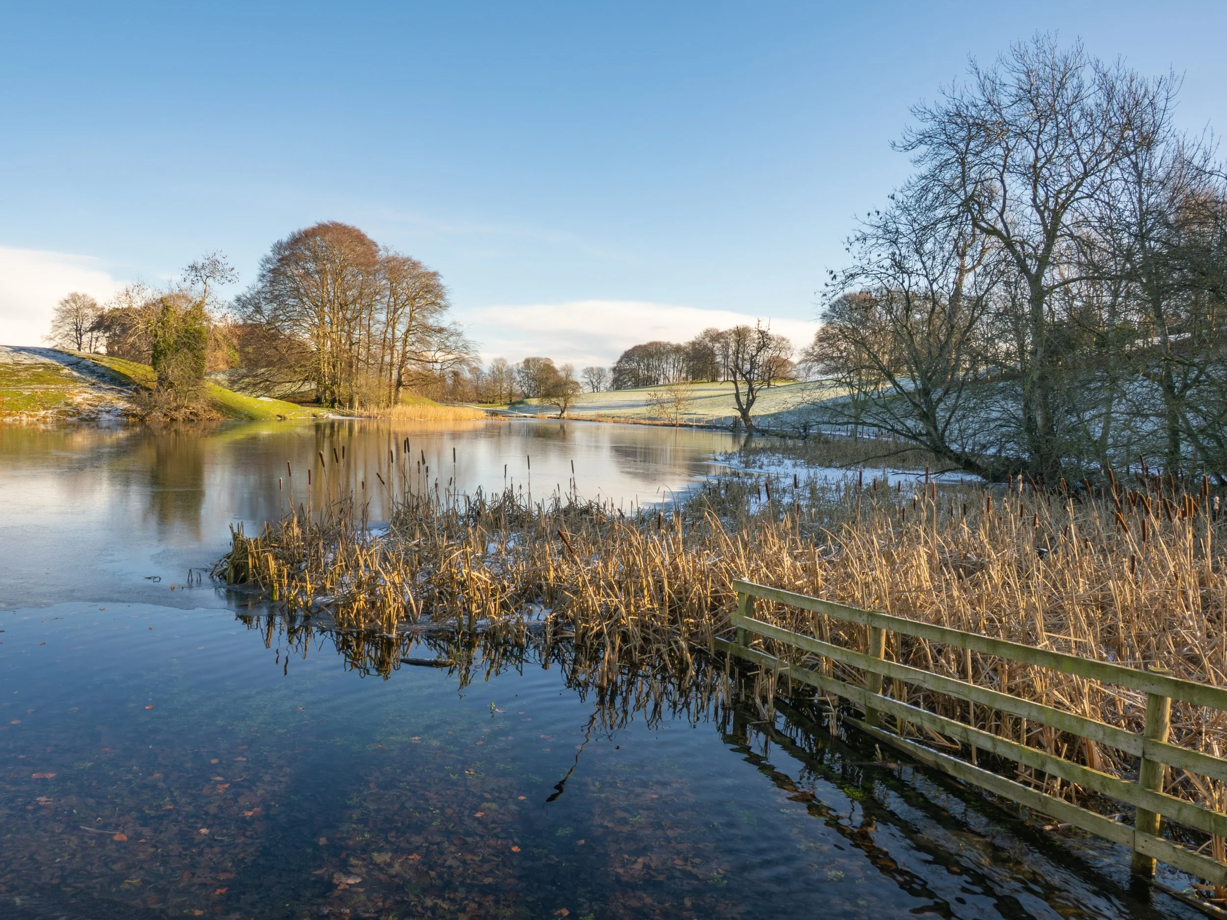 Michelle Bray - Jervaulx Park, Wensleydale - Olympus OM 1 with Olympus 12-100 lens
F11 ISO 200 shutter speed 1/80
The image was taken during a twixmas walk in through Jervaulx Abbey and Park in Wensleydale