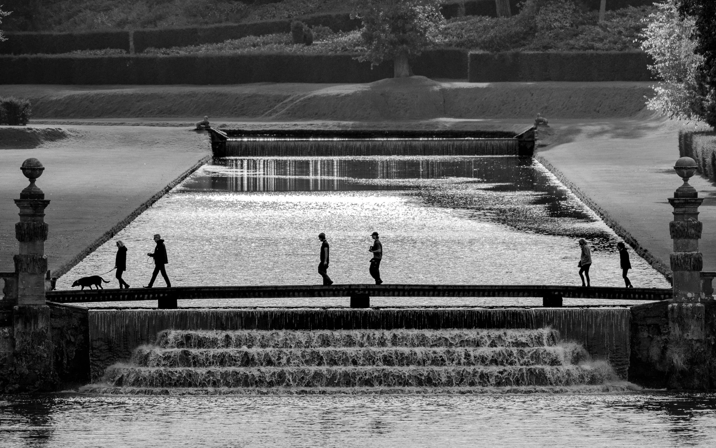 Jackie Martin - Crossing the River Skell at Studley Royal - OM1 with M.Zuiko 150-400 TC1.25x f4.5 PRO - 234mm f4.0 1/1600 ISO 200
Taken from the opposite high bank in the Deer Park in afternoon light on 04-10-2024