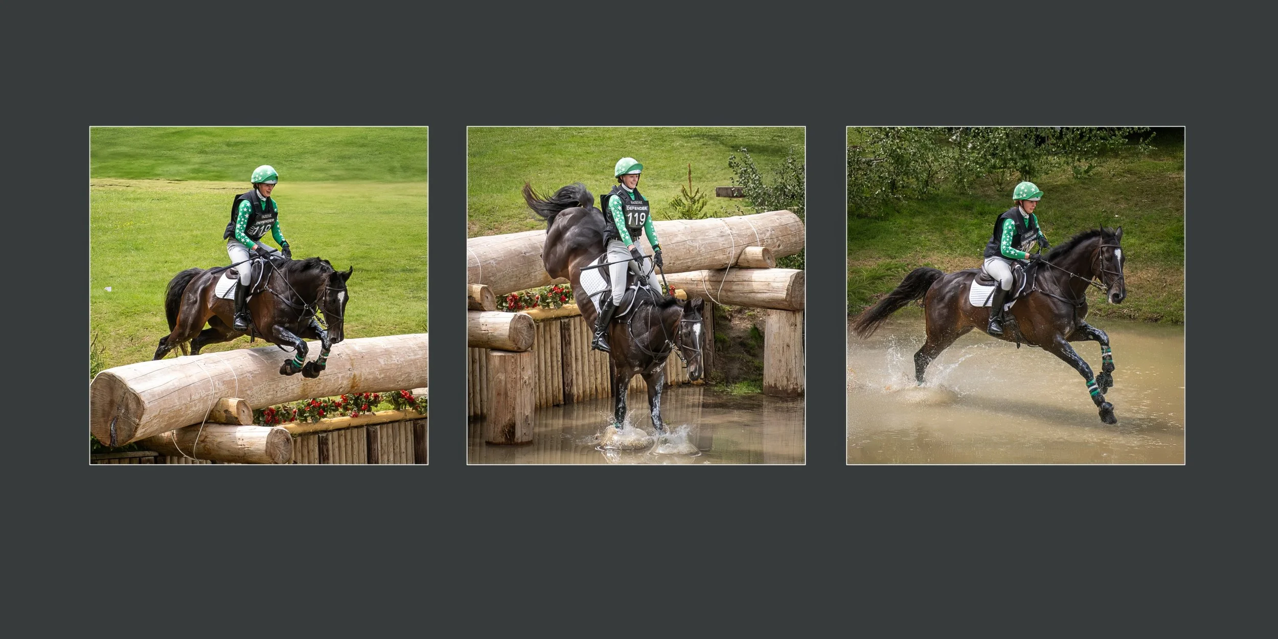 Triptych - Michelle Bray