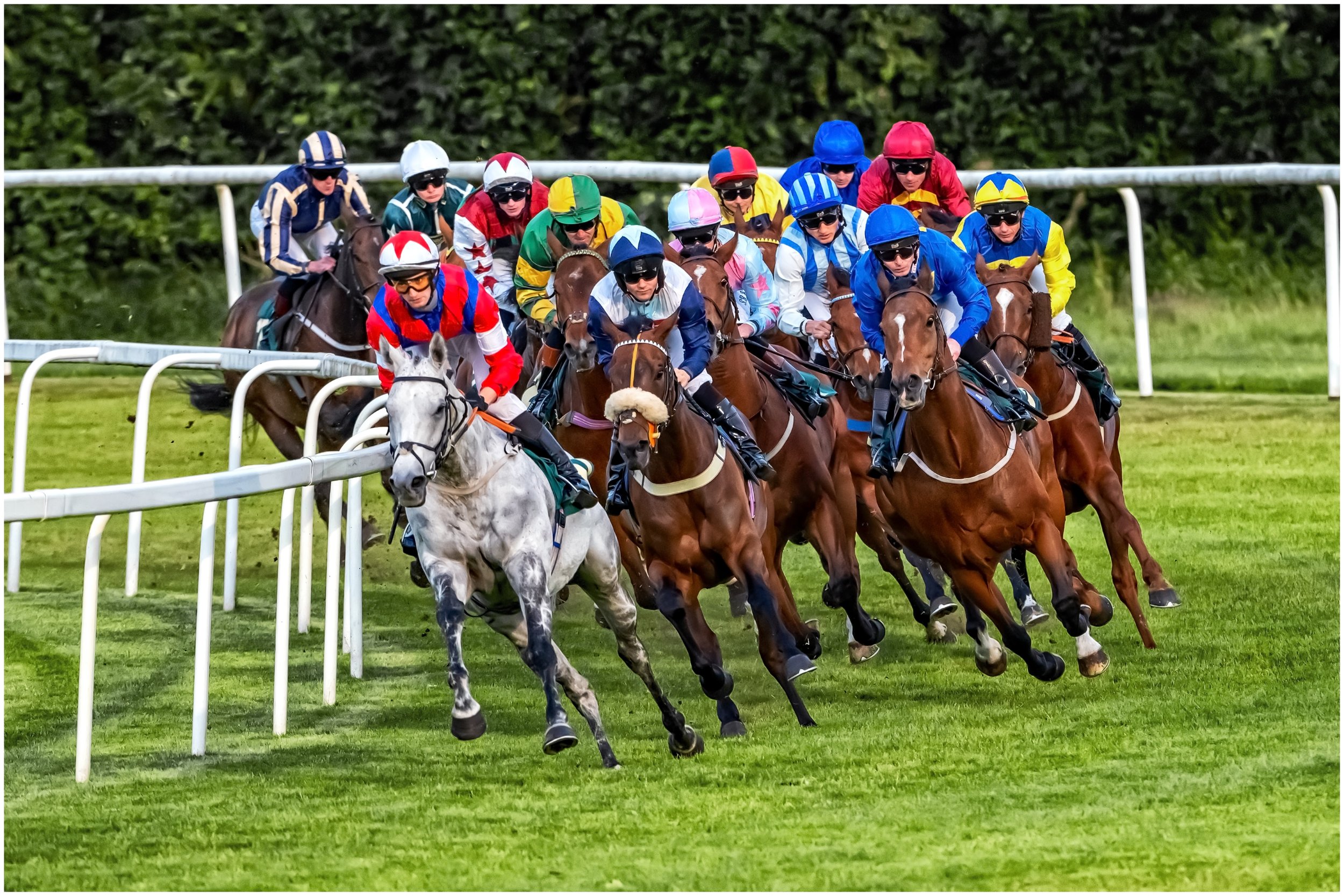 Duncan Snell - Full gallop rounding the final bend - Taken at Ripon Racecourse in 2025 usng a Nikon Z6iii with a Nikon 180-600mm zoom. Camera set at 1/2000 sec at f7 ISO 2000