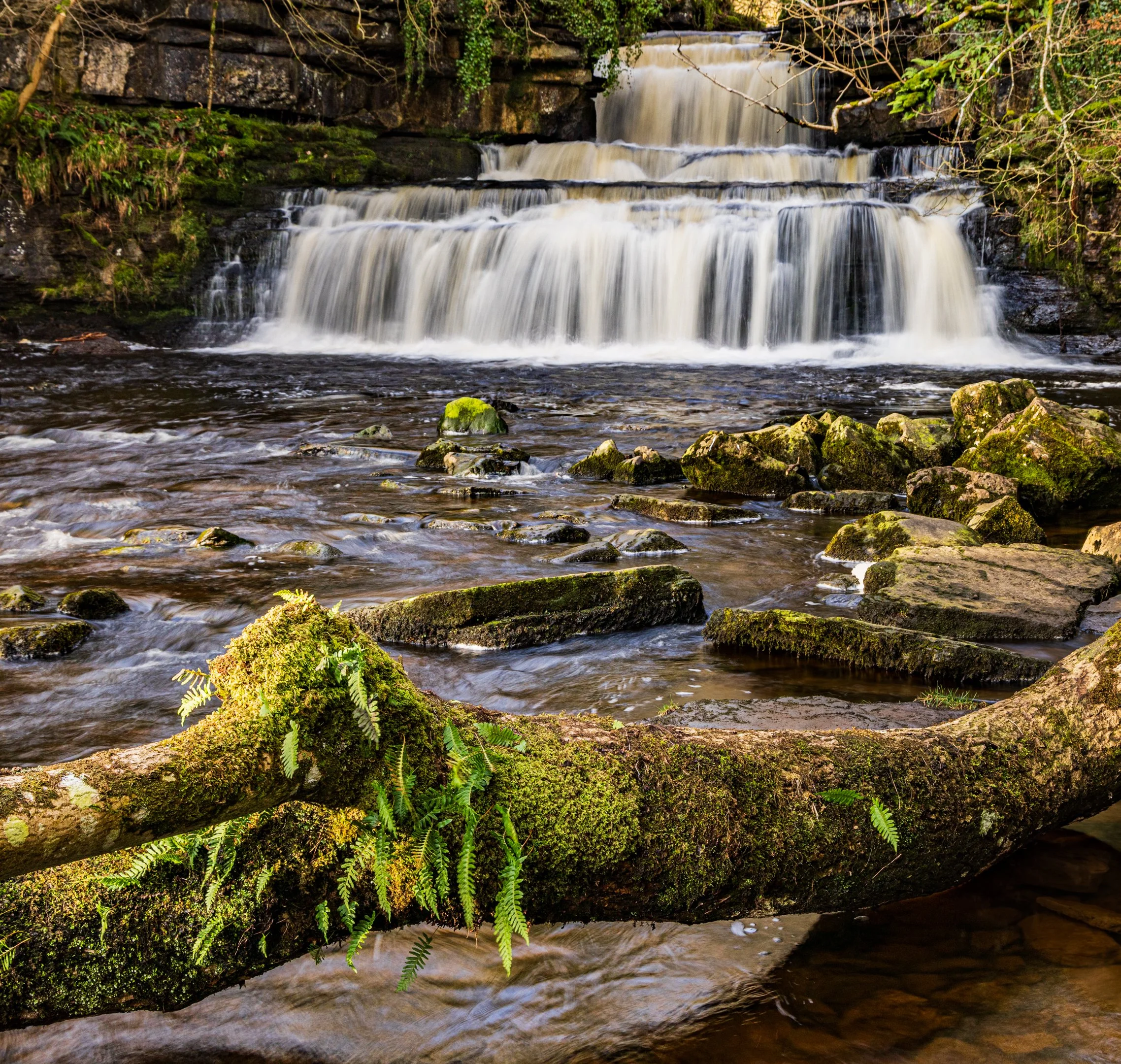 Ian Beck - Cotter Force, Wensleydale - A trip to some of the waterfalls in Wensleydale. F8,ISO 100, 1/4 sec.
