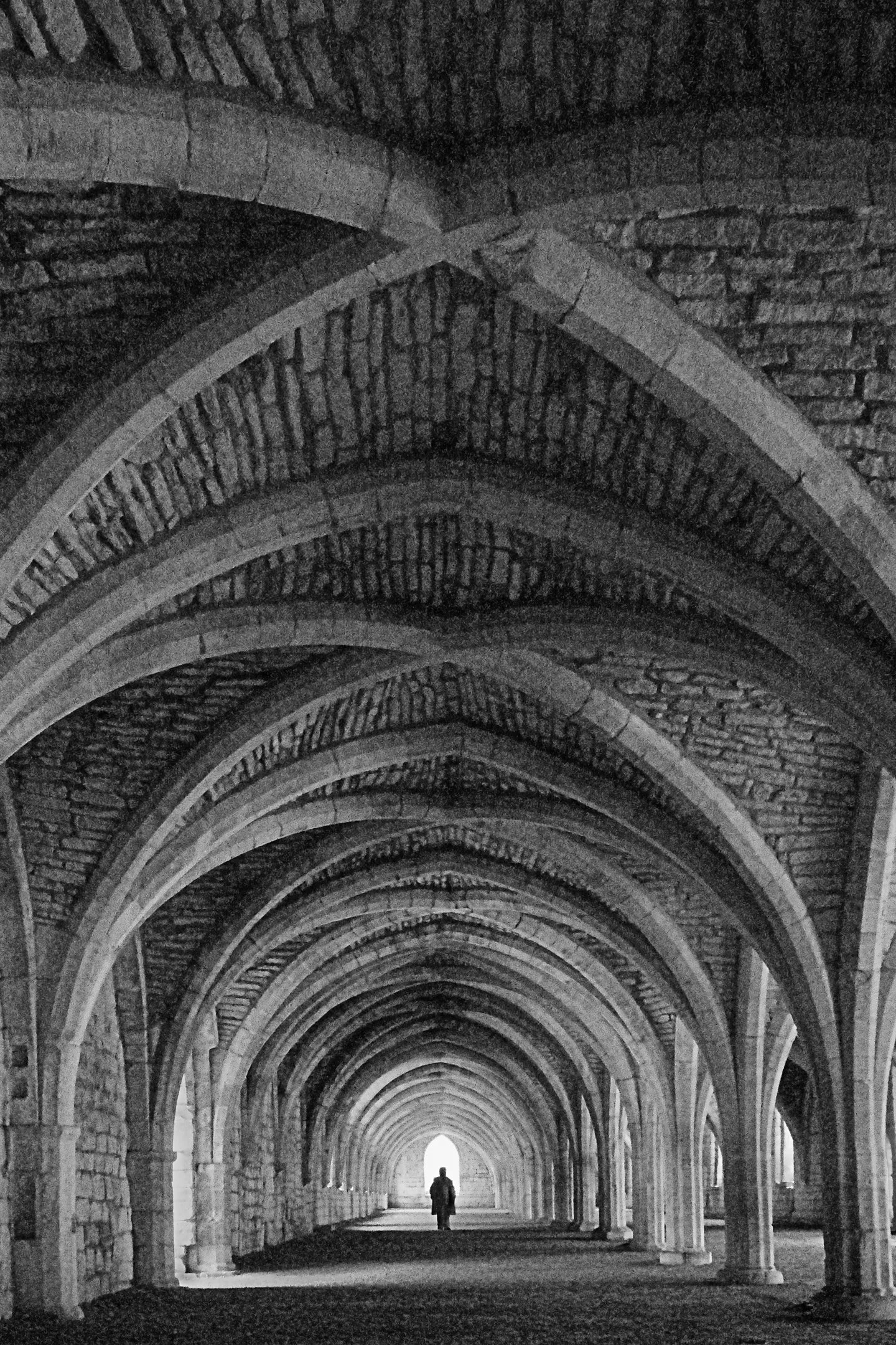 Len Downes - The Cellarium, Fountains Abbey  is a 100 metres long 12C undercroft. To attempt some originality, an infrared-converted camera was used and a silhouetted figure. Lumix GH3, 1/250sec, f5, ISO 25600, under-exposed by 2/3 stop, 29mm focal l