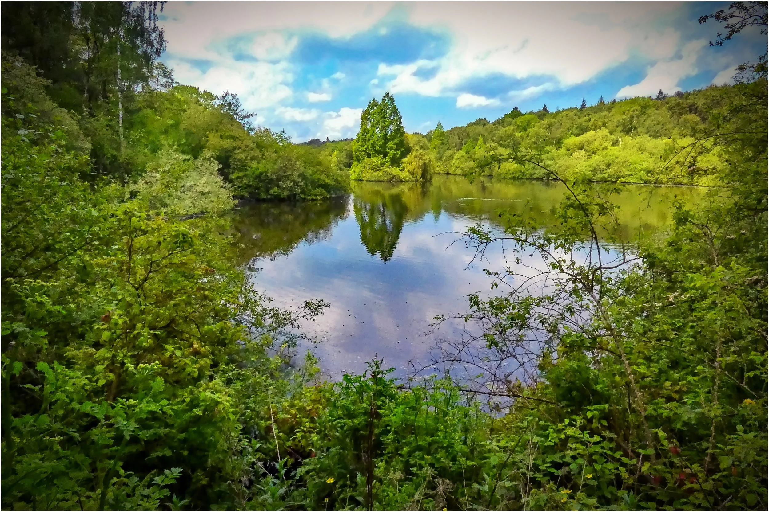Jennifer Allong - Lakeside view - Tranquil view of the lake at Golden Acres Park - photographed May 2026 using Panasonic Lumix FZ82