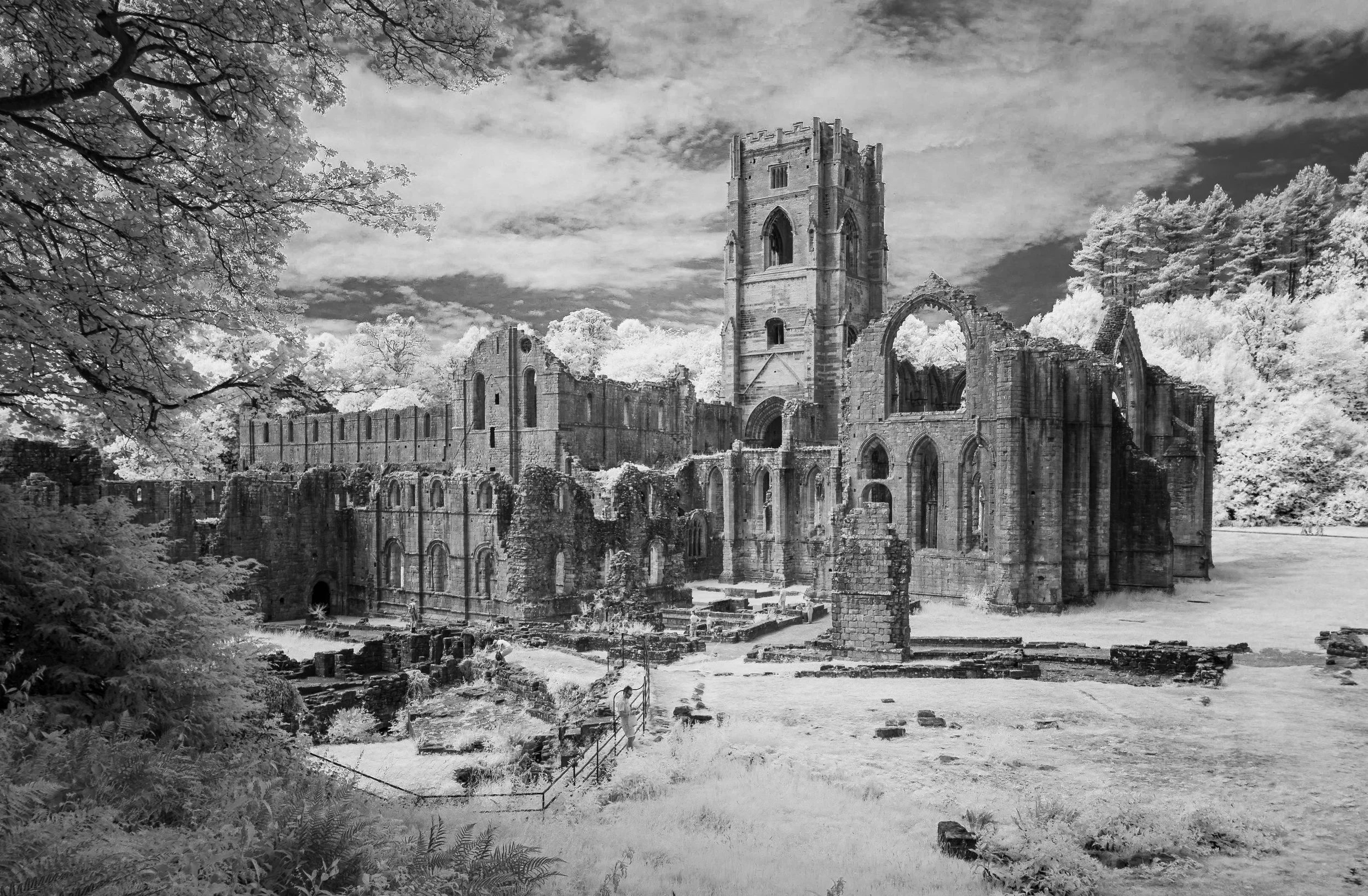 Steve Colbourne - Fountains Abbey - Sony Nex6 Full spectrum conversion E PZ 16-50mm lens with Hoya R72 infrared filter  1/250, F8 iso 200, 16mm. Custom white balance in camera
