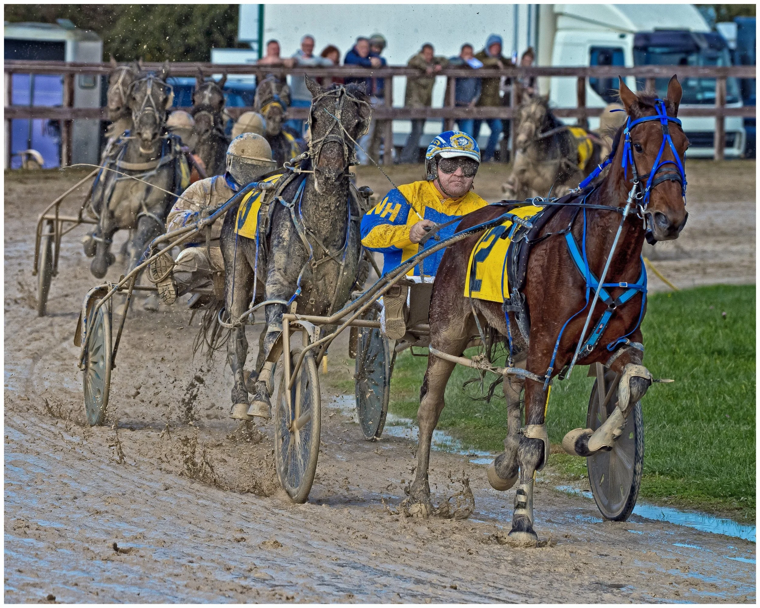 Duncan Snell - Here's mud in your eyes - Taken at Nun Monkton Harness Races in 2024 usng a Nikon Z6iii with a Nikon 70-200mm zoom. Camera set at 1/1600 sec at f7 ISO 450