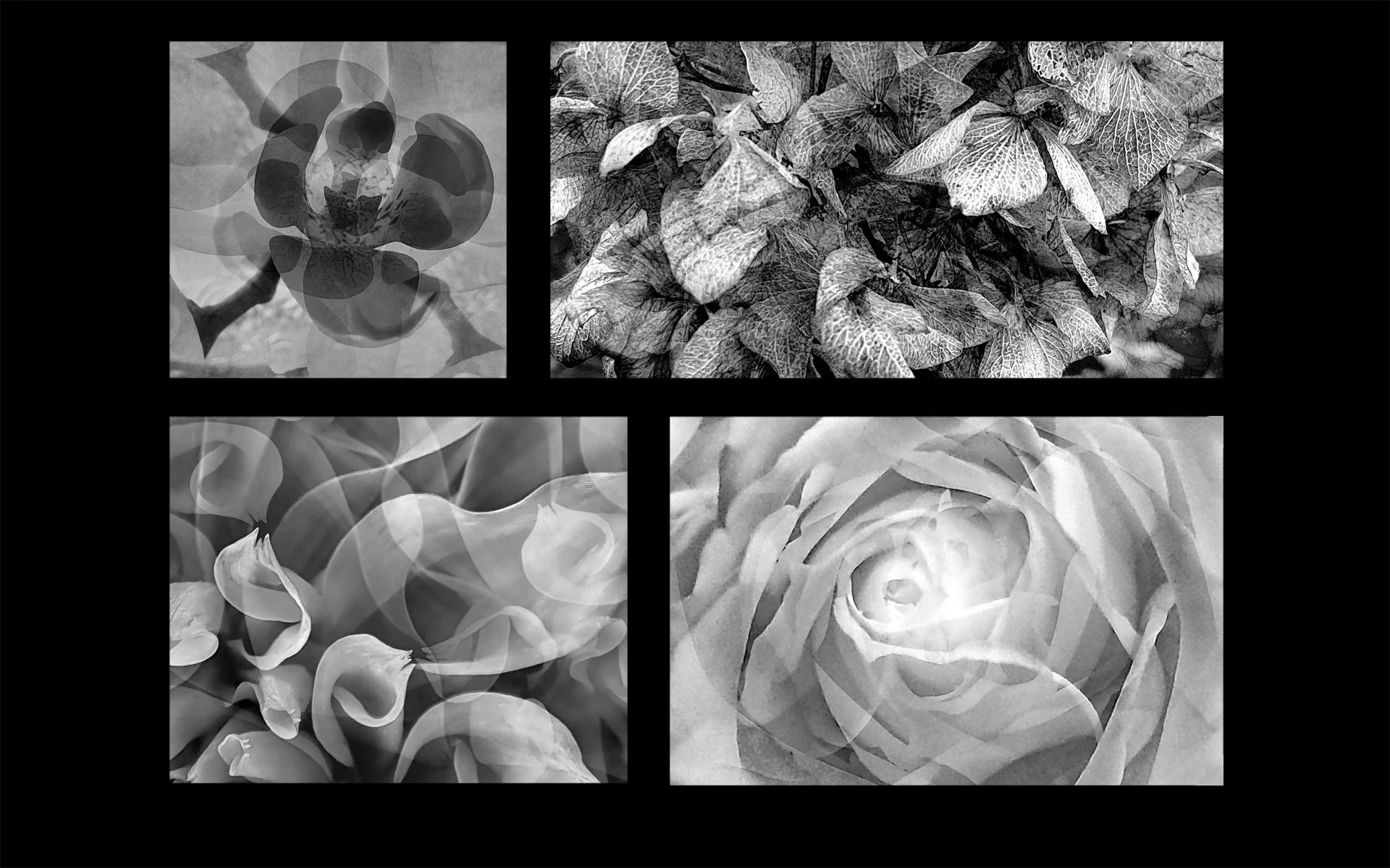 Abstractions  - Ralph Woodhead

Although I usually photograph anything of interest, I've always been attracted by shapes and patterns such as reflections and swirling water. After the HPS Monday evening lecture by Tony Hall, I have been experimenting