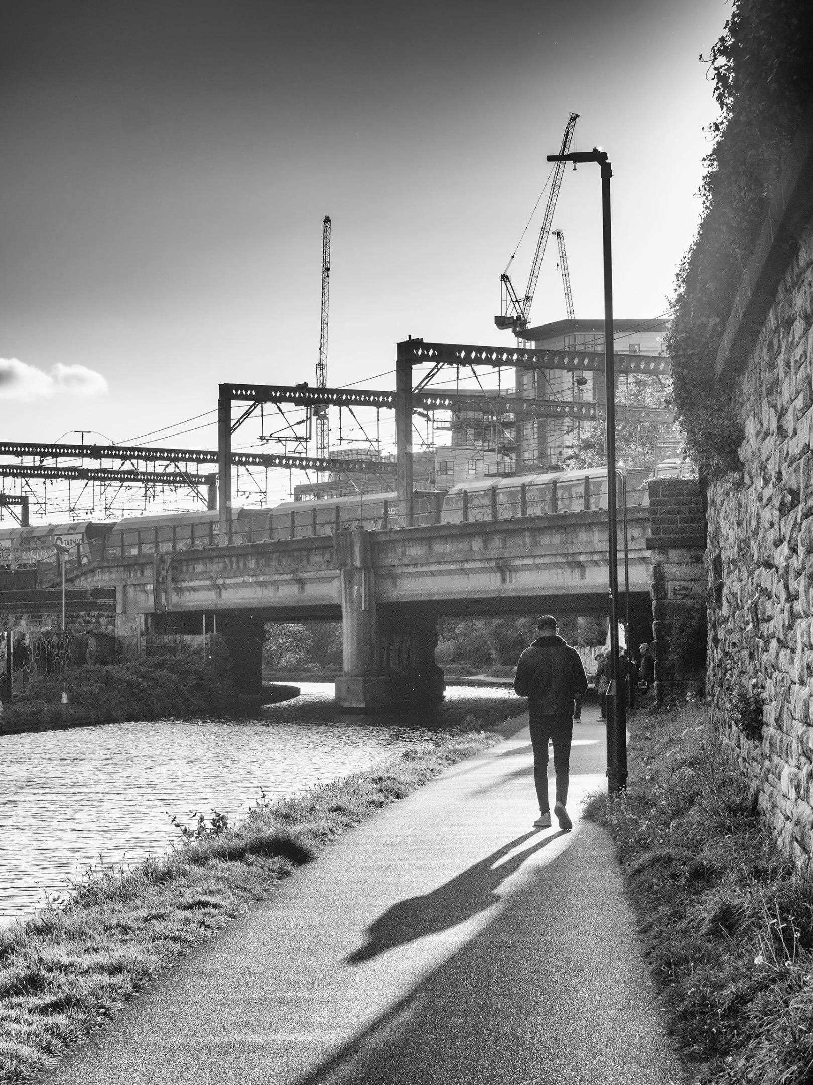 Tim Needham - Towpath trains and cranes - Olympus OMD E-M5 Mk II, Olympus 12-100mm, F10, 1/125s, ISO 250