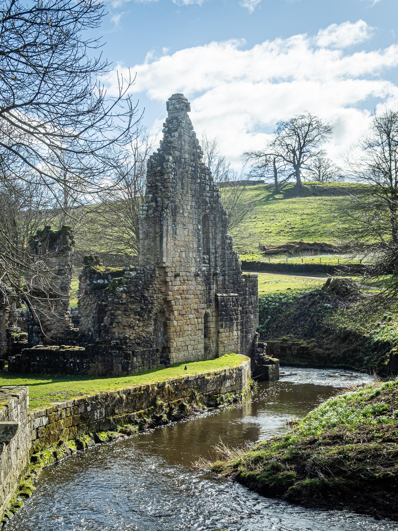 Robert Steemson - The River Skell at Fountains Abbey