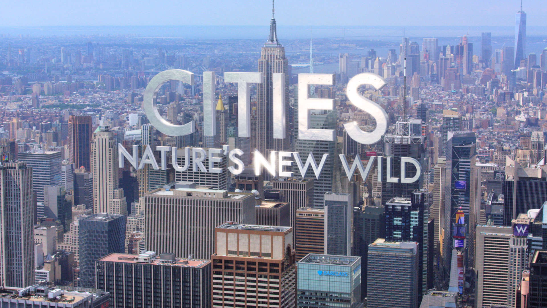 BBC - Cities: Nature's New Wild (flying foxes)
