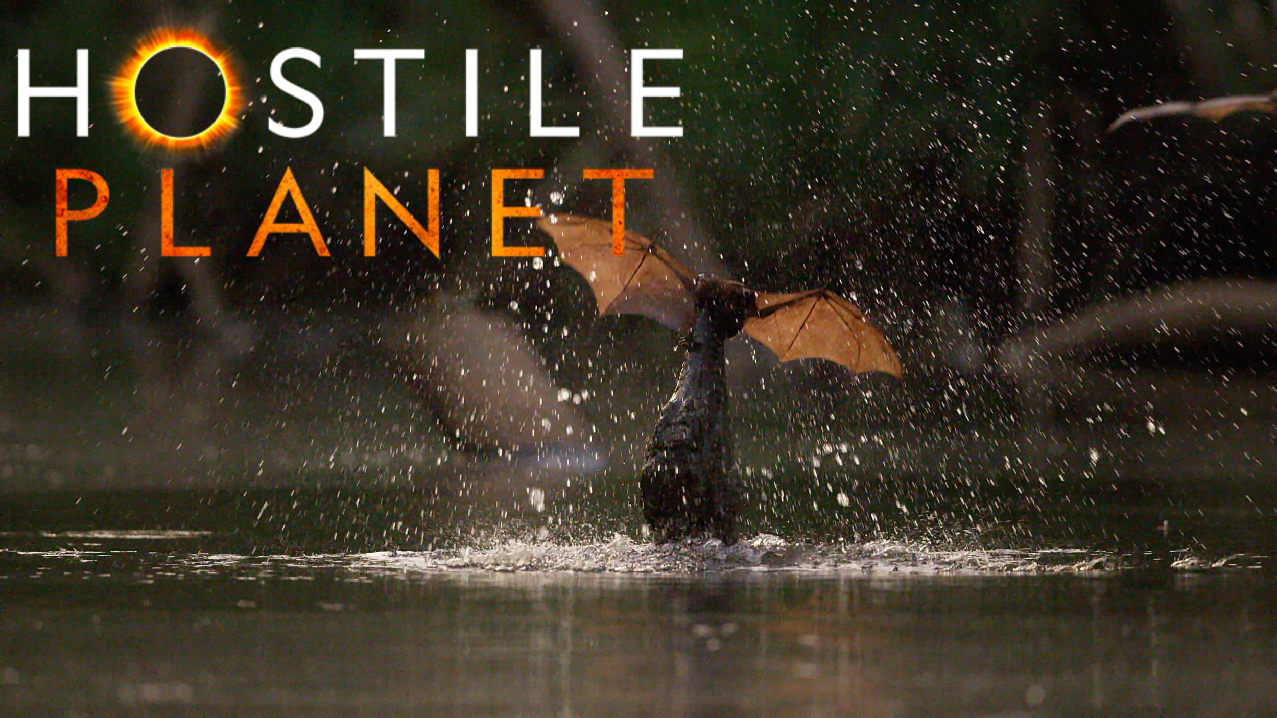 National Geographic - Hostile Planet (bats &amp; crocodiles, red kangaroos)