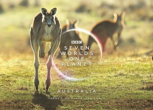 BBC - Seven Worlds, One Planet (Australian ep)